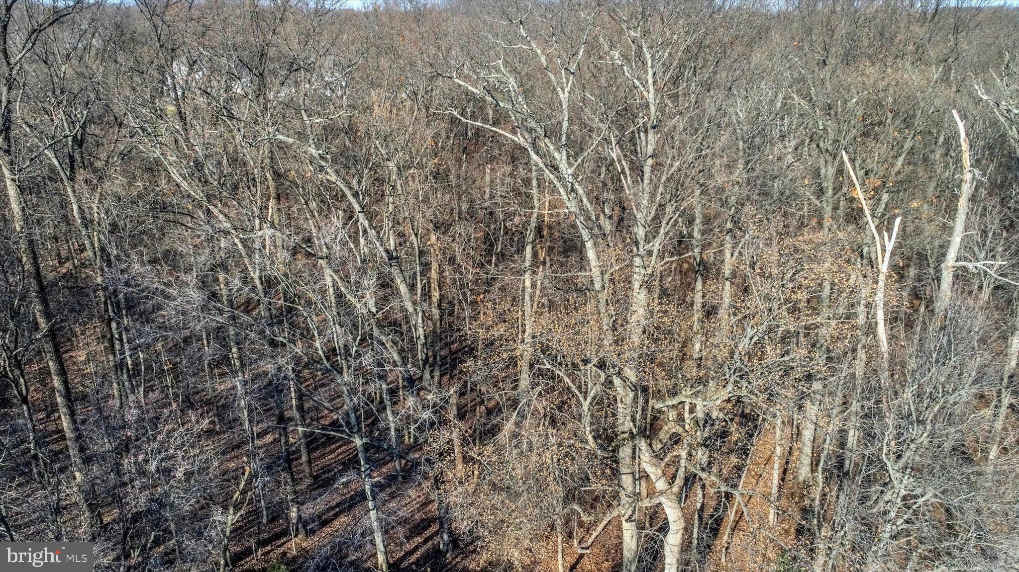 TIMONIUM - Residential