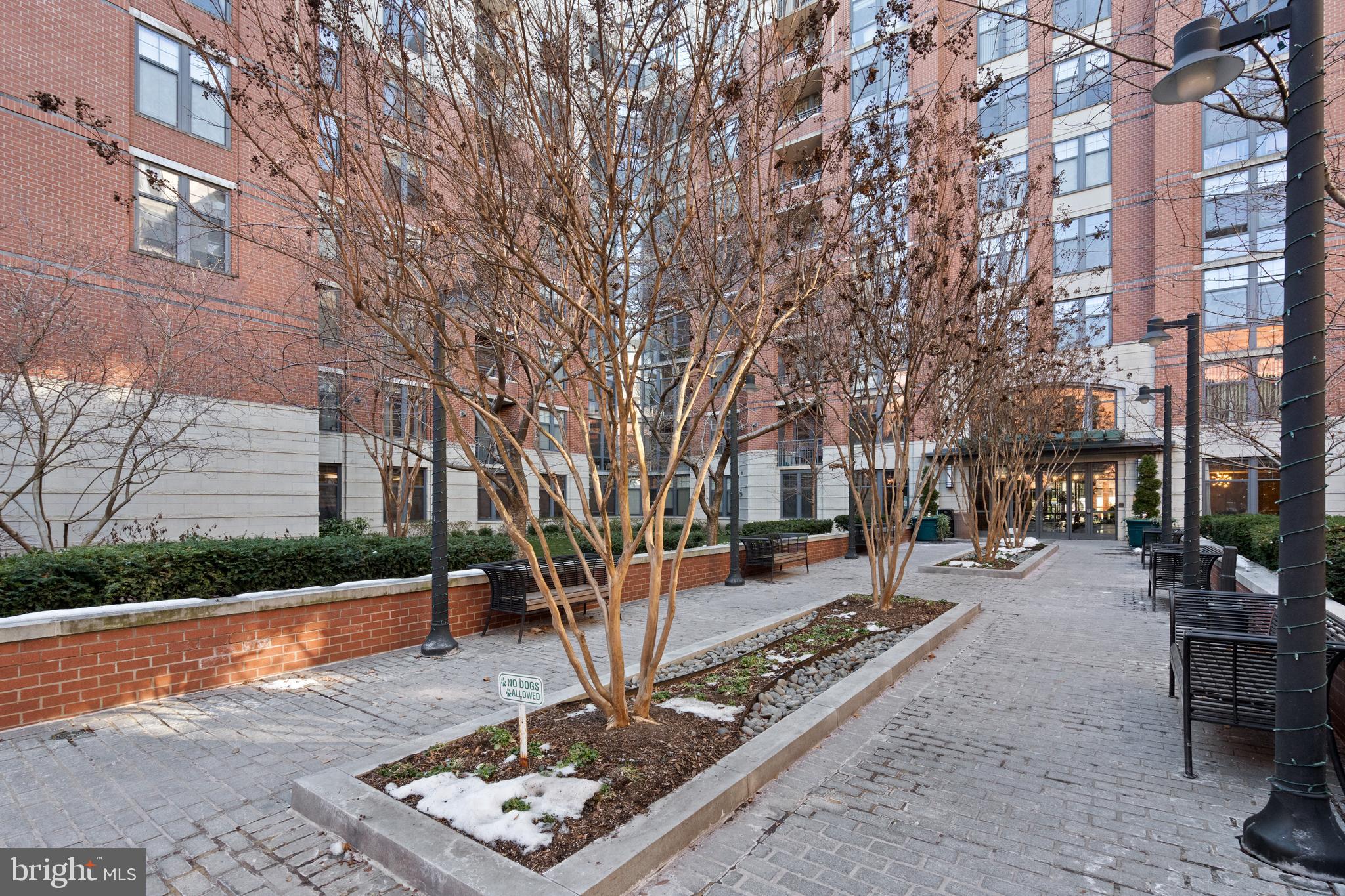 CLARENDON 1021 - Residential