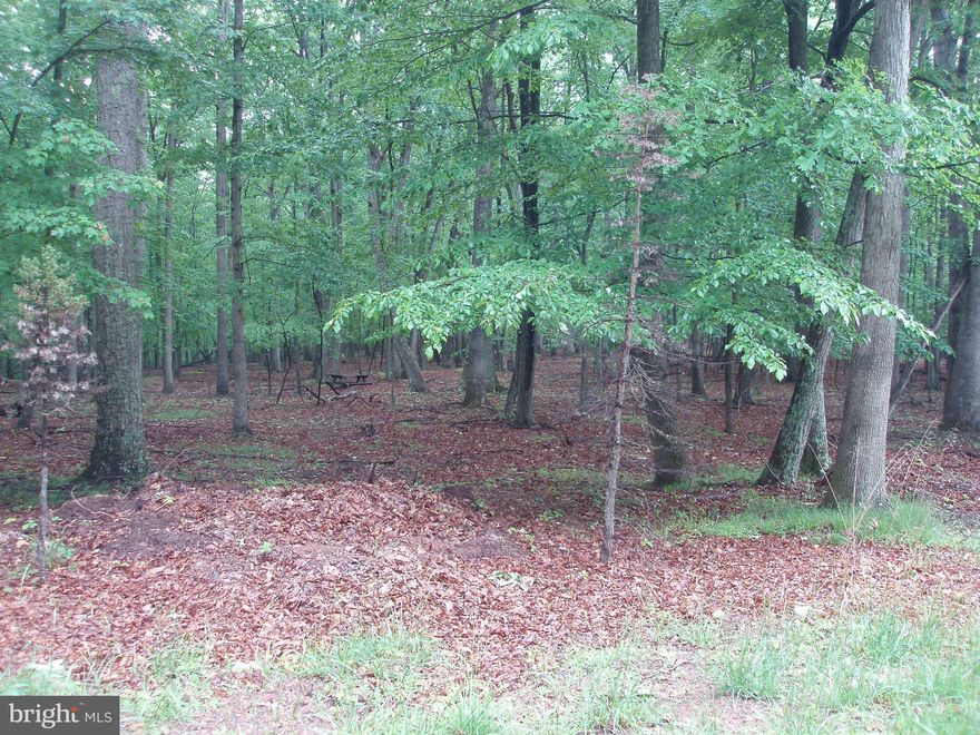 RIVER RIDGE 3.67 wooded acres.  Mostly level with a wet weather stream at the back of.the lot.   Nicely maintained common area on the Cacapon River with BBQ pits, picnic tables & bath house. Gated access offers you added comfort when building your dream weekend retreat.  Current septic permit.  Motivated Seller!  OWNER FINANCING AVAILABLE TO QUALIFIED PURCHASER.