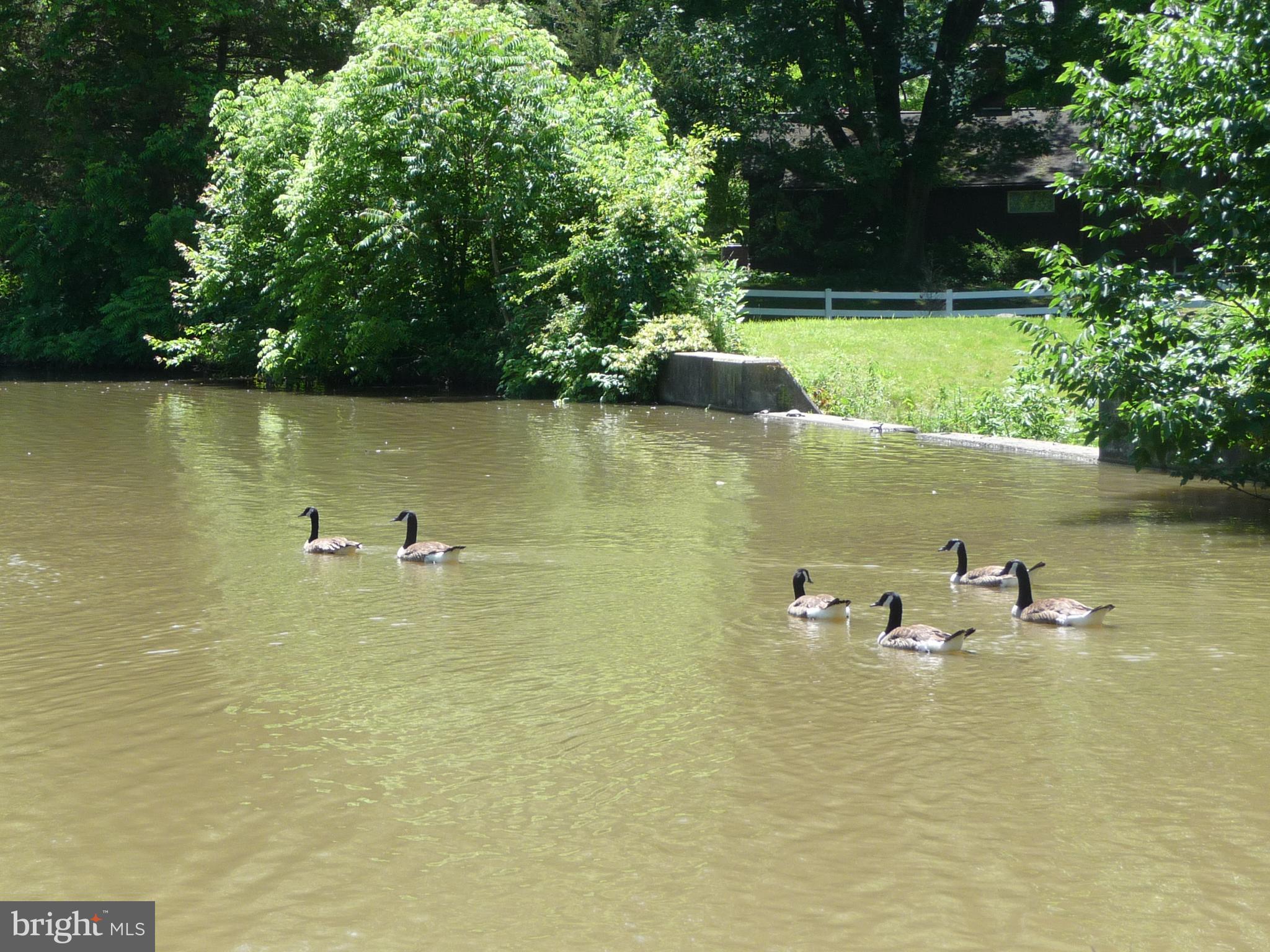 LAKE VIEW ESTATES - Residential