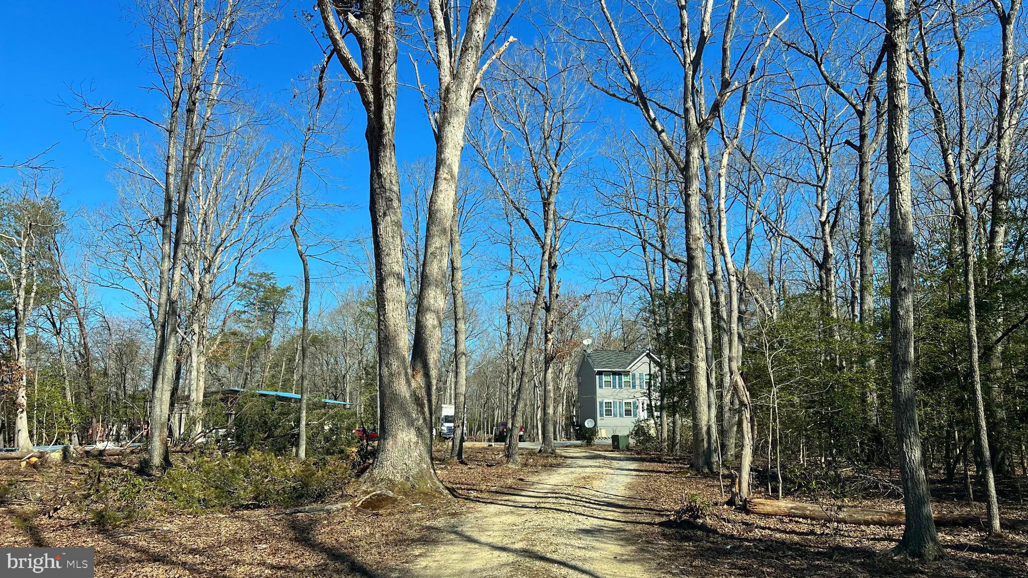 FECHTER - Residential