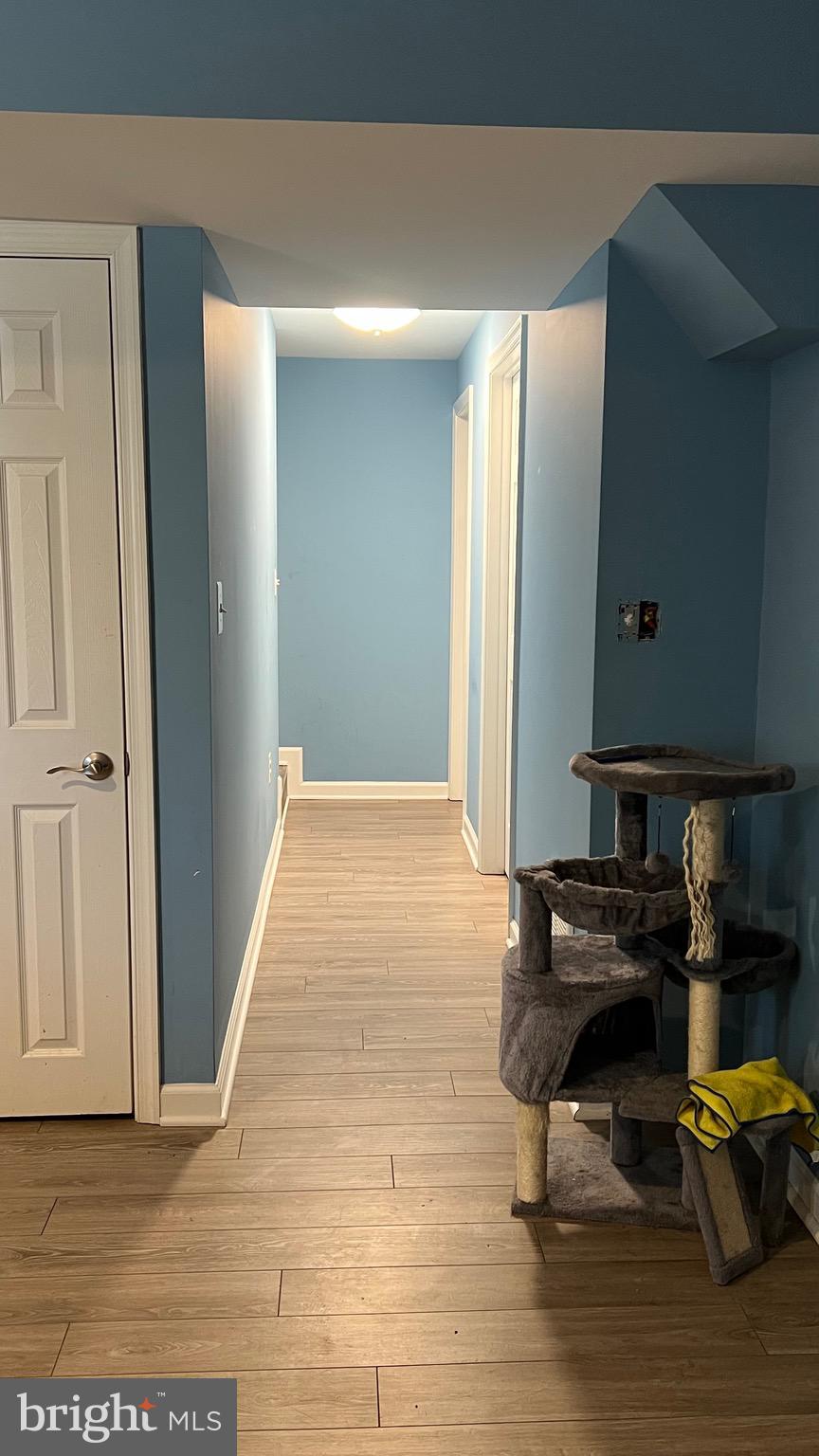 FECHTER - Residential