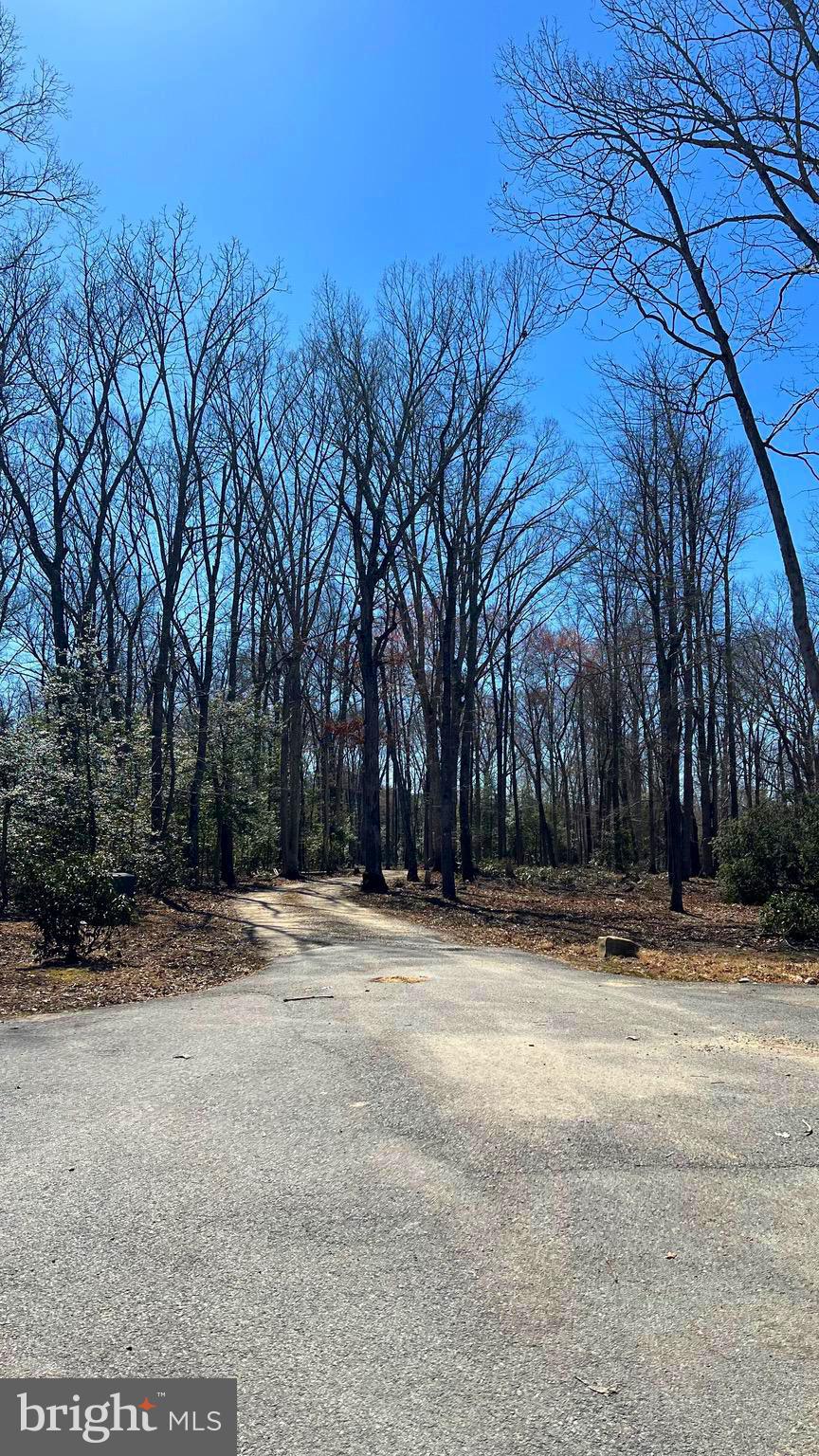 FECHTER - Residential