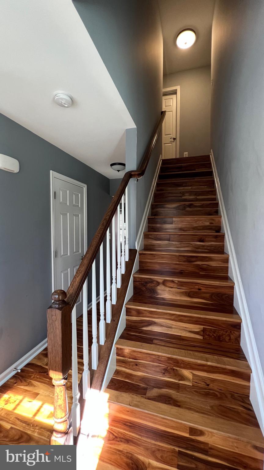 FECHTER - Residential