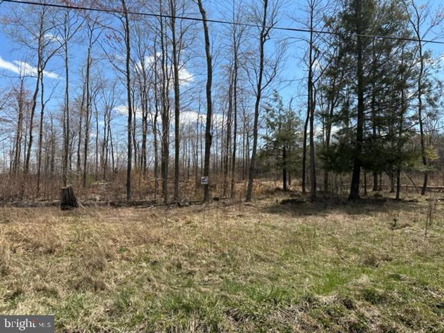 MT. STORM - 21.05 ACRES SUBDIVIDED INTO SEVEN (7) BUILDING LOTS IN "CHERRY VIEW ACRES". LOTS RANGE IN SIZE FROM 2.3 ACRES TO 4 ACRES. PUBLIC WATER AND ELECTRIC ON SITE AND ALL LOTS ARE "PERC TESTED". FRONTAGE ON "CHERRY RIDGE ROAD". LEVEL BUILDING LOTS, FULLY WOODED, PUBLIC UTILITIES.