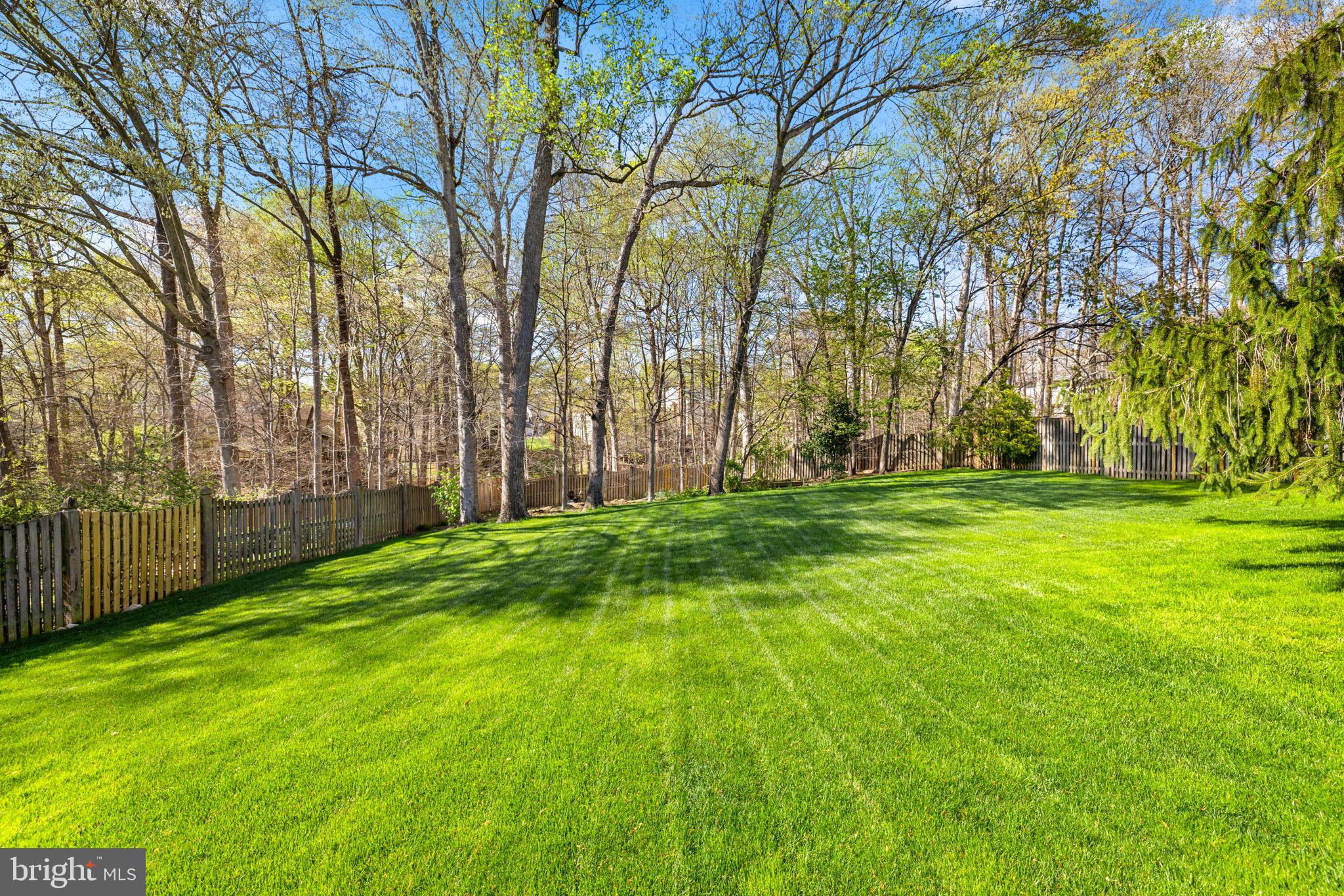 SOUTH RUN FOREST - Residential