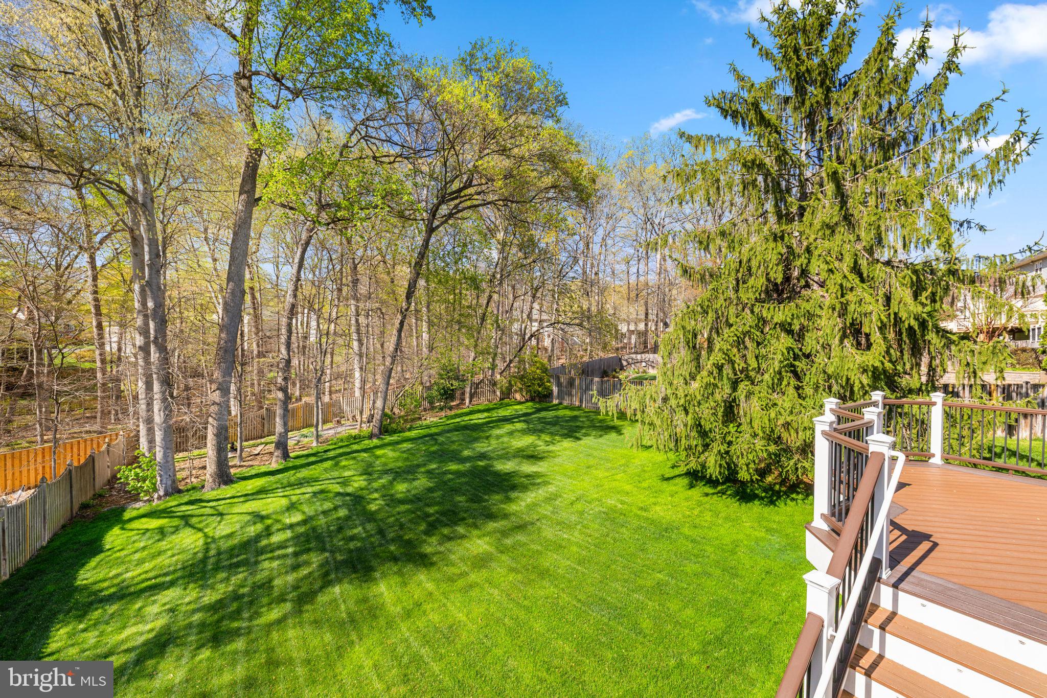 SOUTH RUN FOREST - Residential