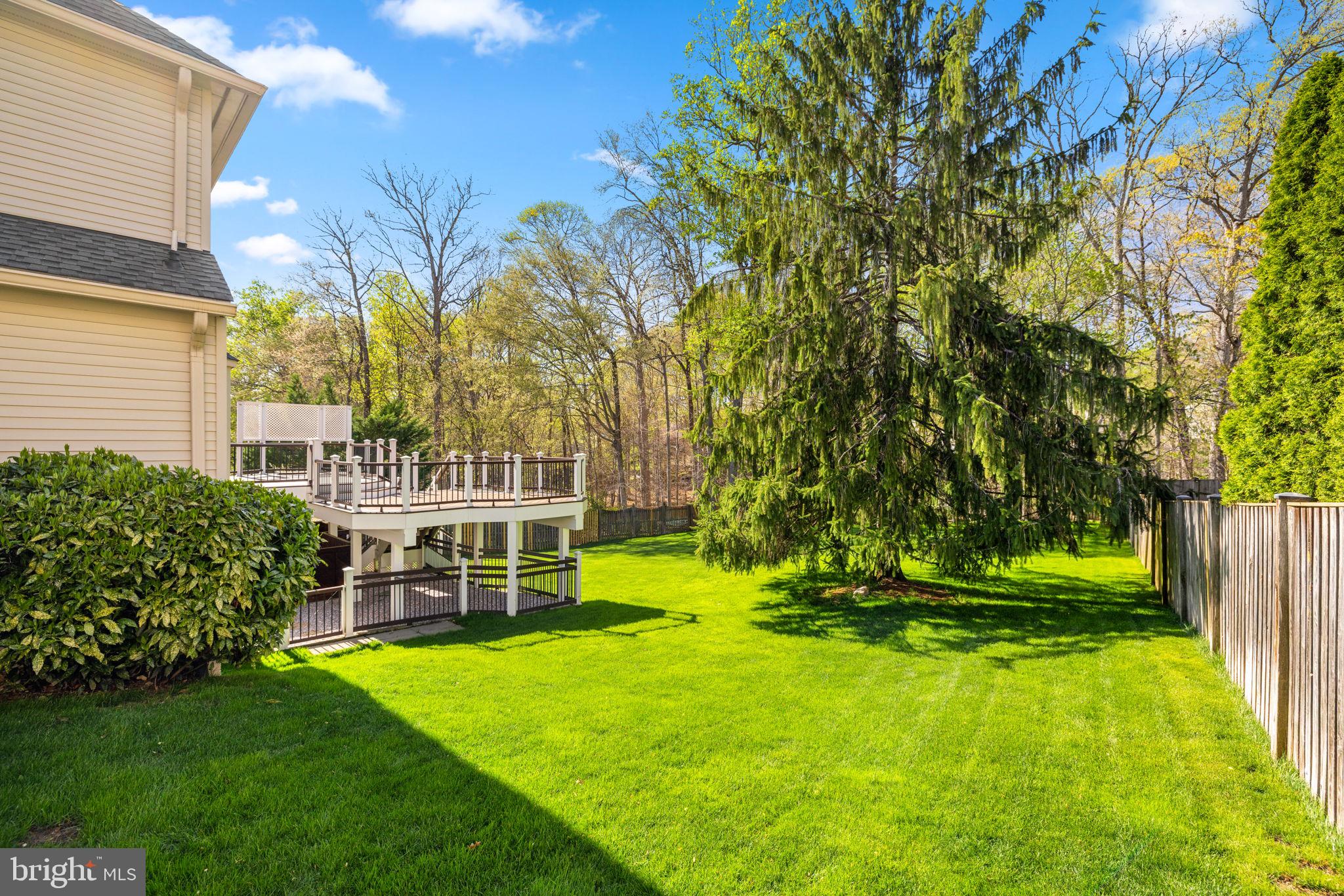 SOUTH RUN FOREST - Residential