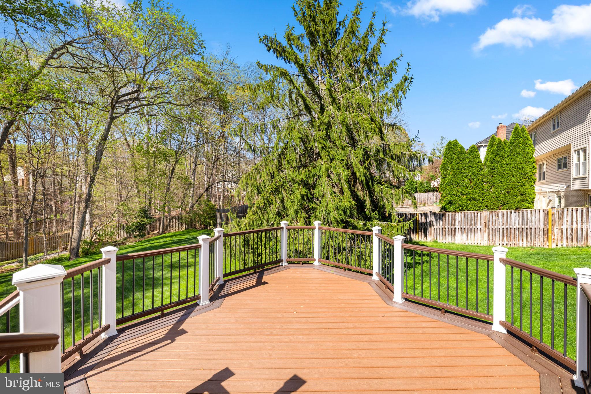 SOUTH RUN FOREST - Residential