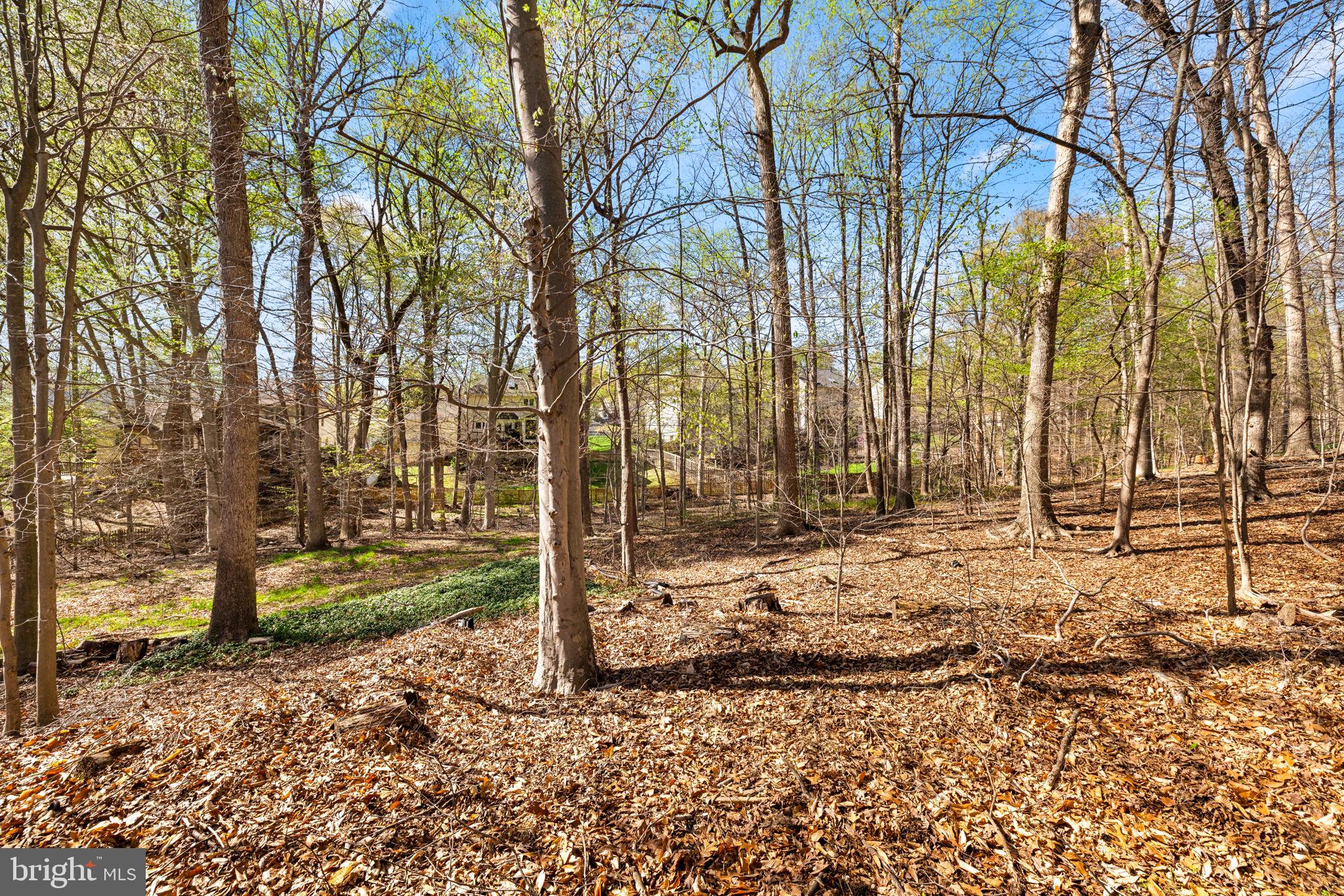 SOUTH RUN FOREST - Residential