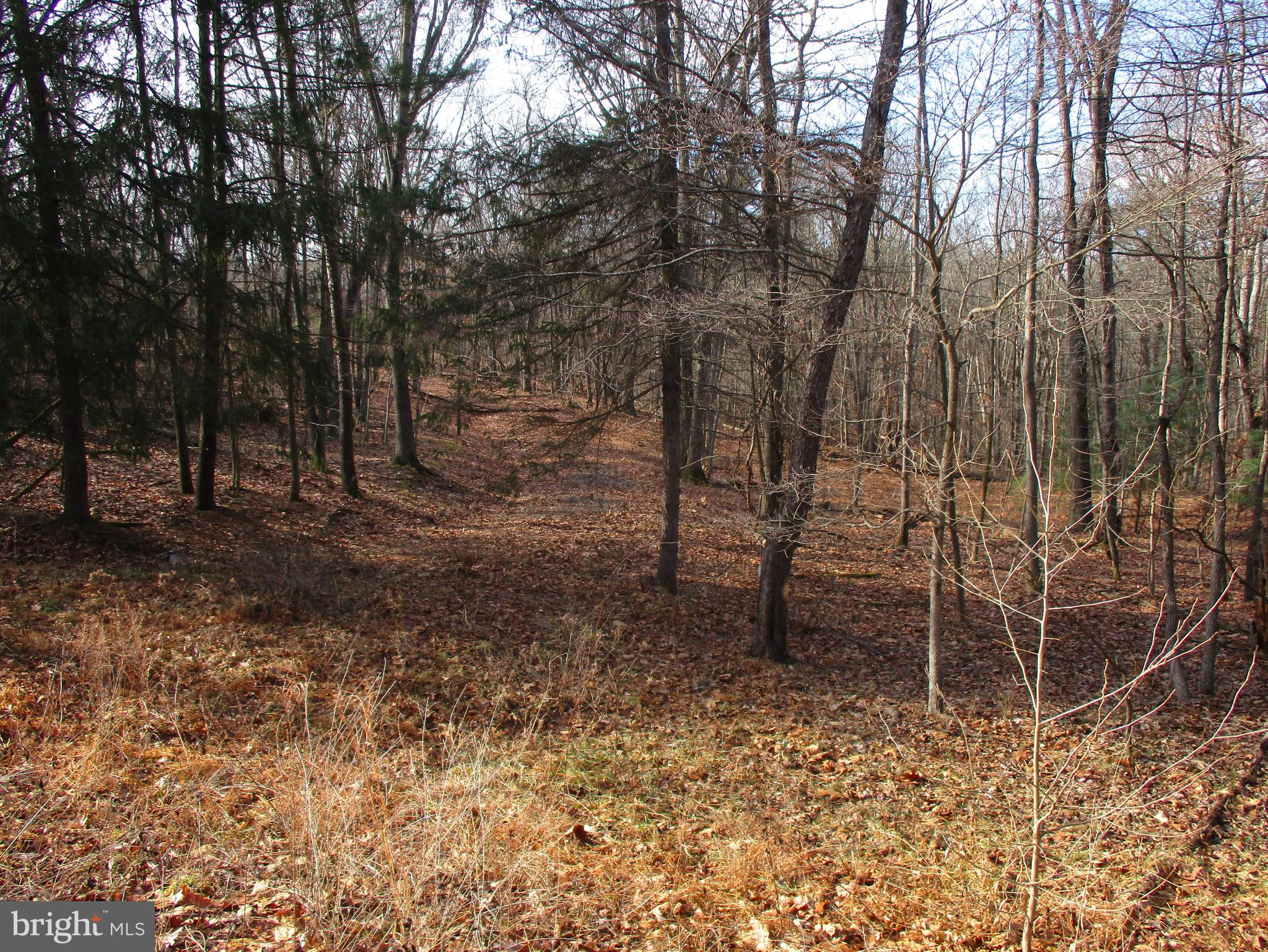 Great building lot. This secluded 5.2 acres lot is located with a mountain view and perfect to build on. Paved roads, wet weather stream in the back of the property. Located just 30 minutes to Historic Winchester VA, 20 minutes to Martinsburg and 10 minutes to I81 at Inwood WV.