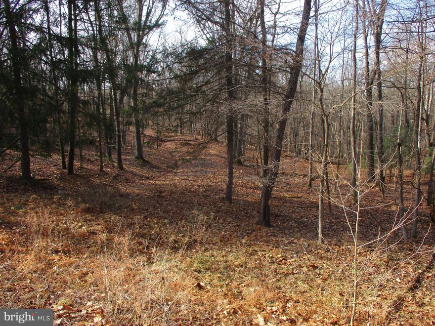 Great building lot.  This secluded 5.2 acres lot is located with a mountain view and perfect to build on.  Paved roads, wet weather stream in the back of the property.  Located just 30 minutes to Historic Winchester VA, 20 minutes to Martinsburg and 10 minutes to I81 at Inwood WV.