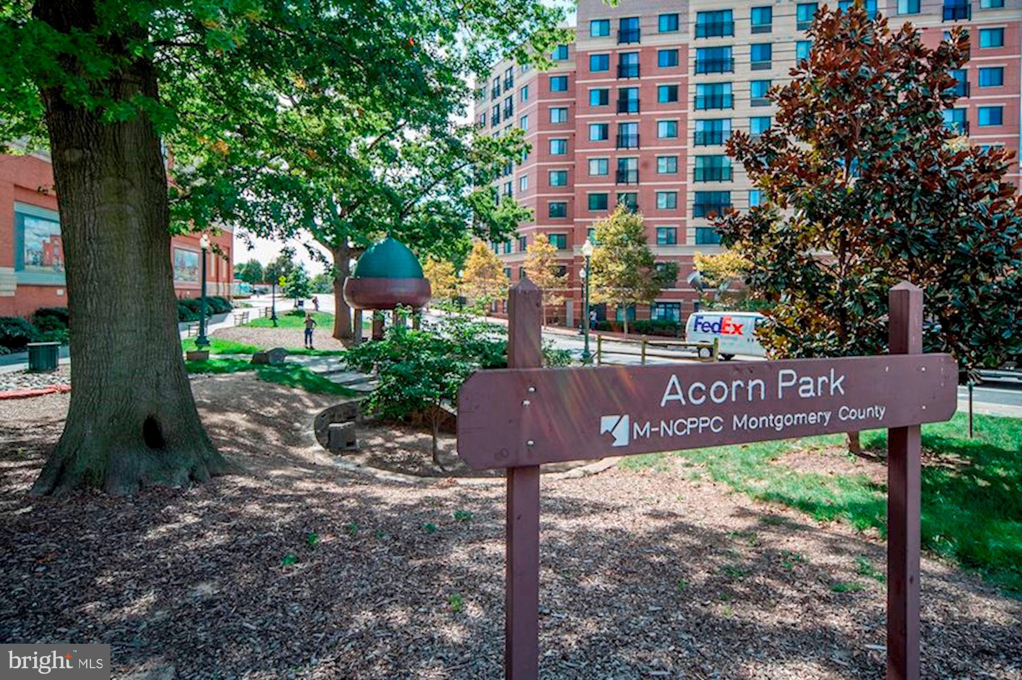 DOWNTOWN SILVER SPRING - Residential