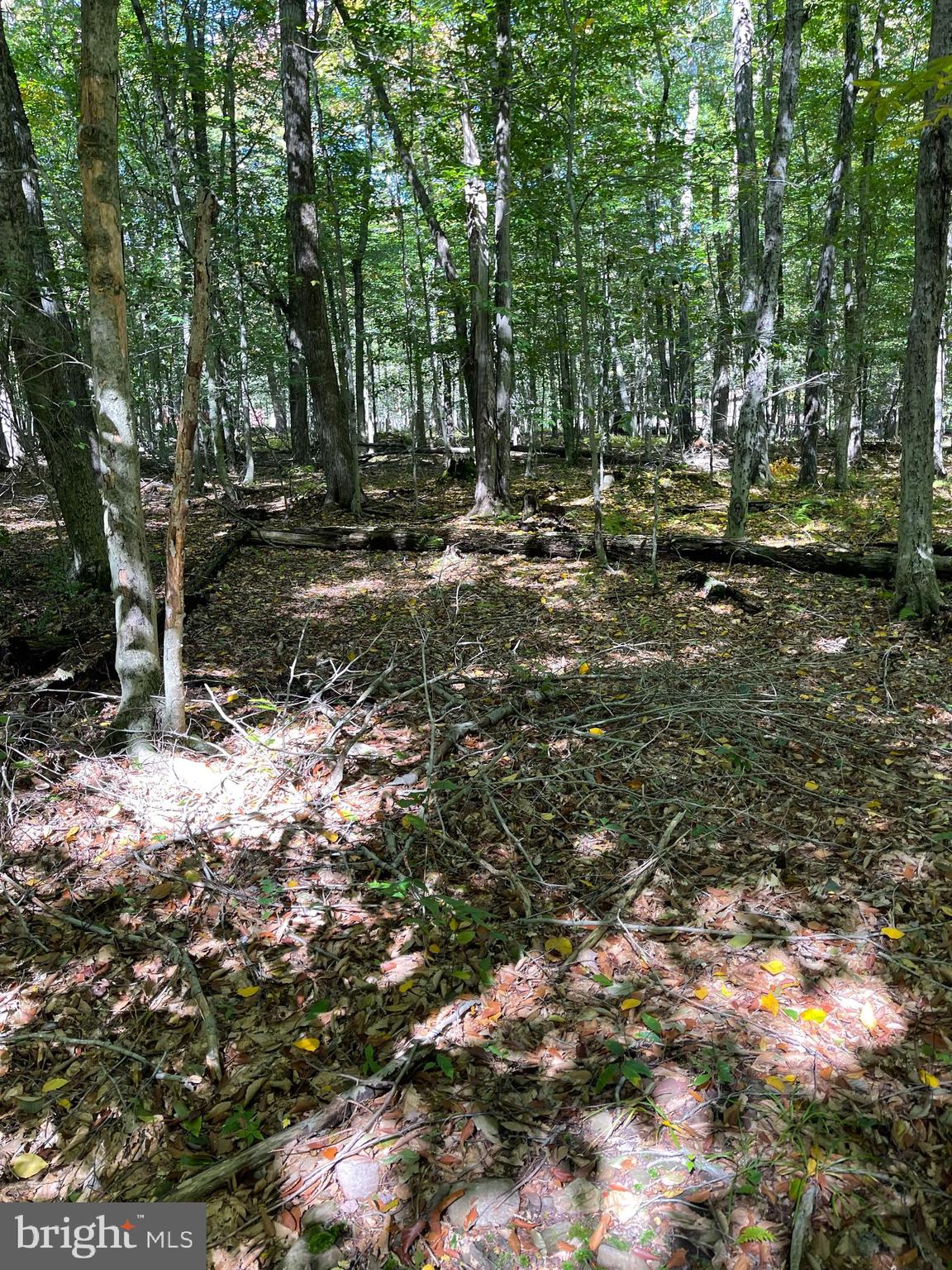 FF33HF BREEZEWOOD DRIVE