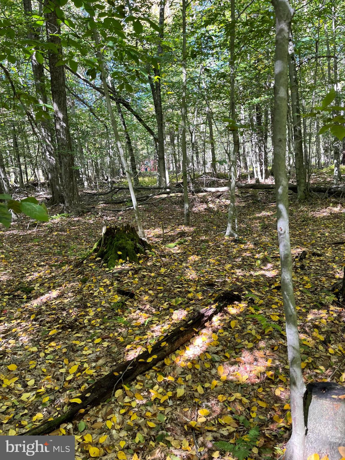 FF33HF BREEZEWOOD DRIVE