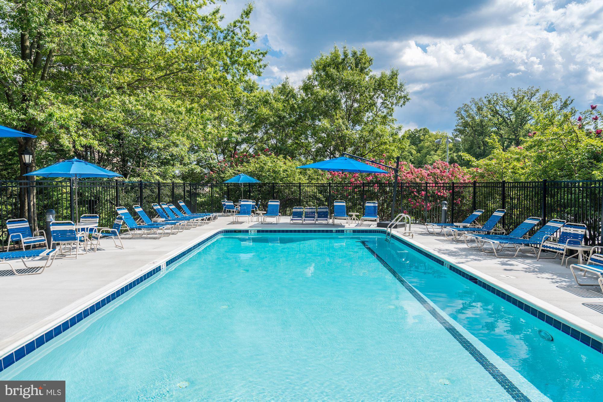 THE WILLIAMSBURG - Residential