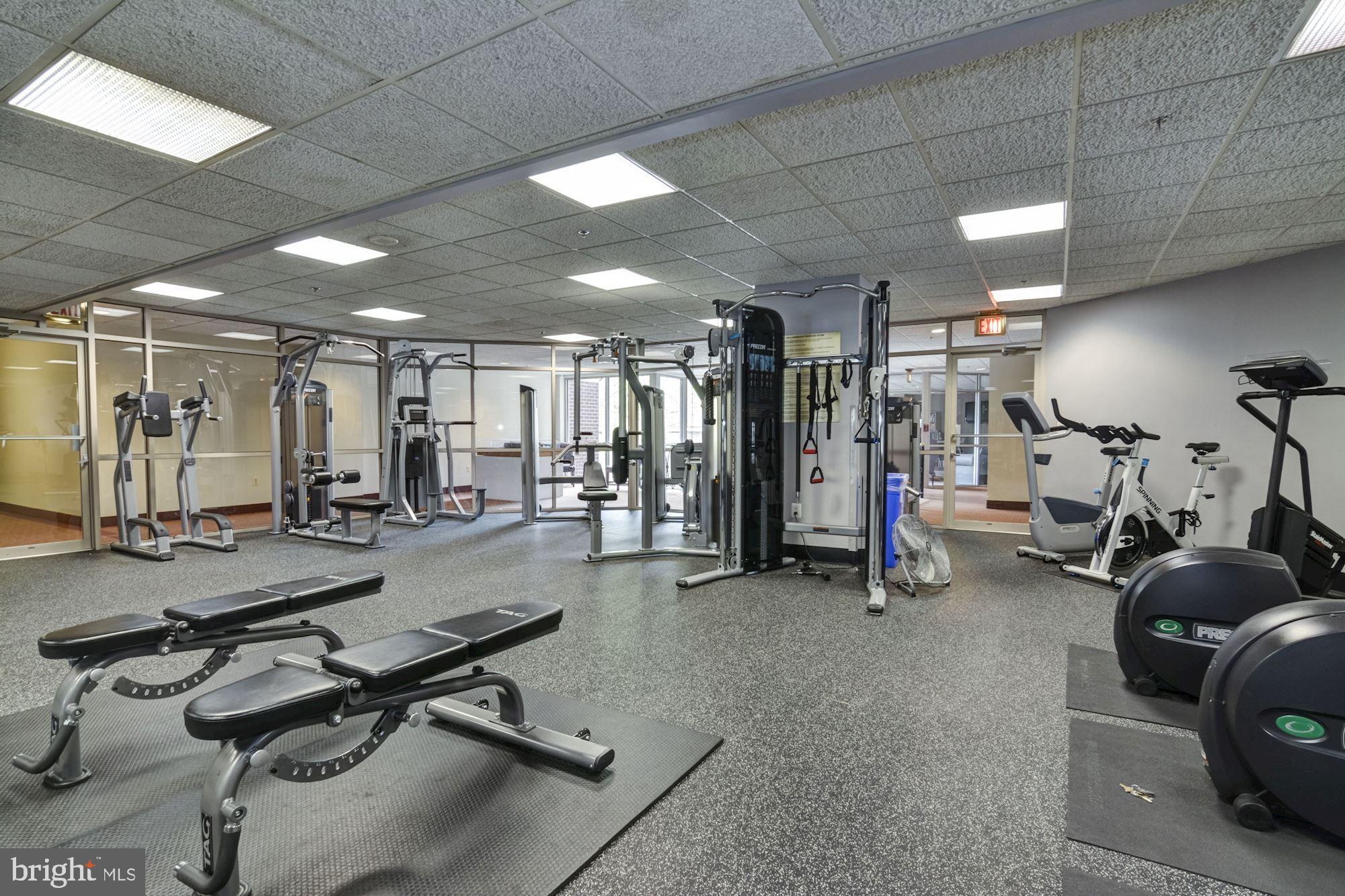 THE WILLIAMSBURG - Residential