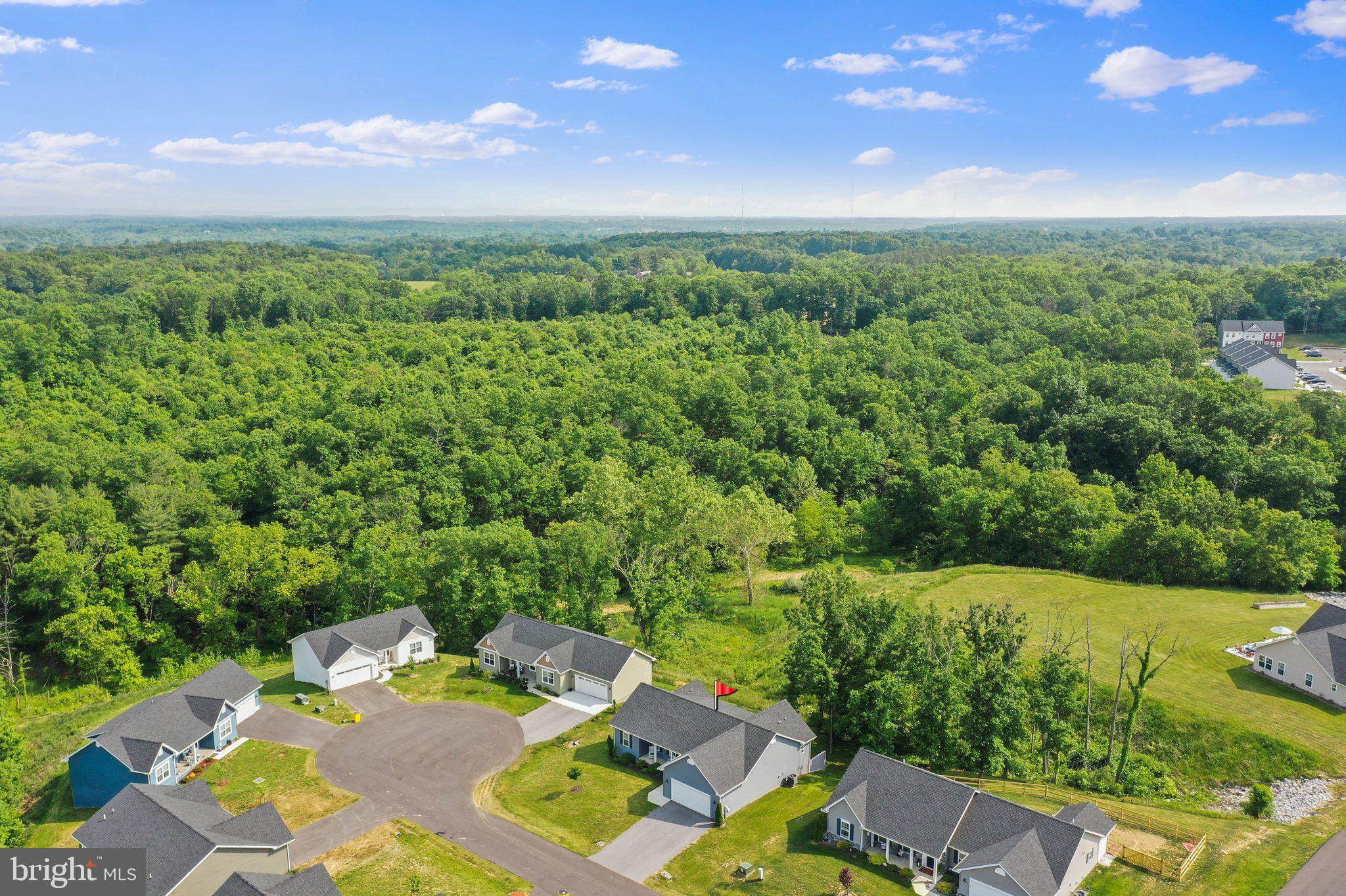 BRIDLE CREEK - Residential
