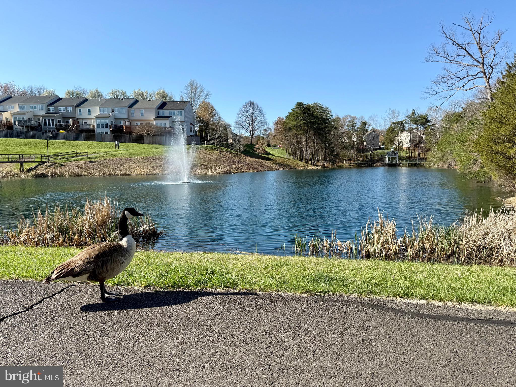 COMPTON VILLAGE - Residential Lease