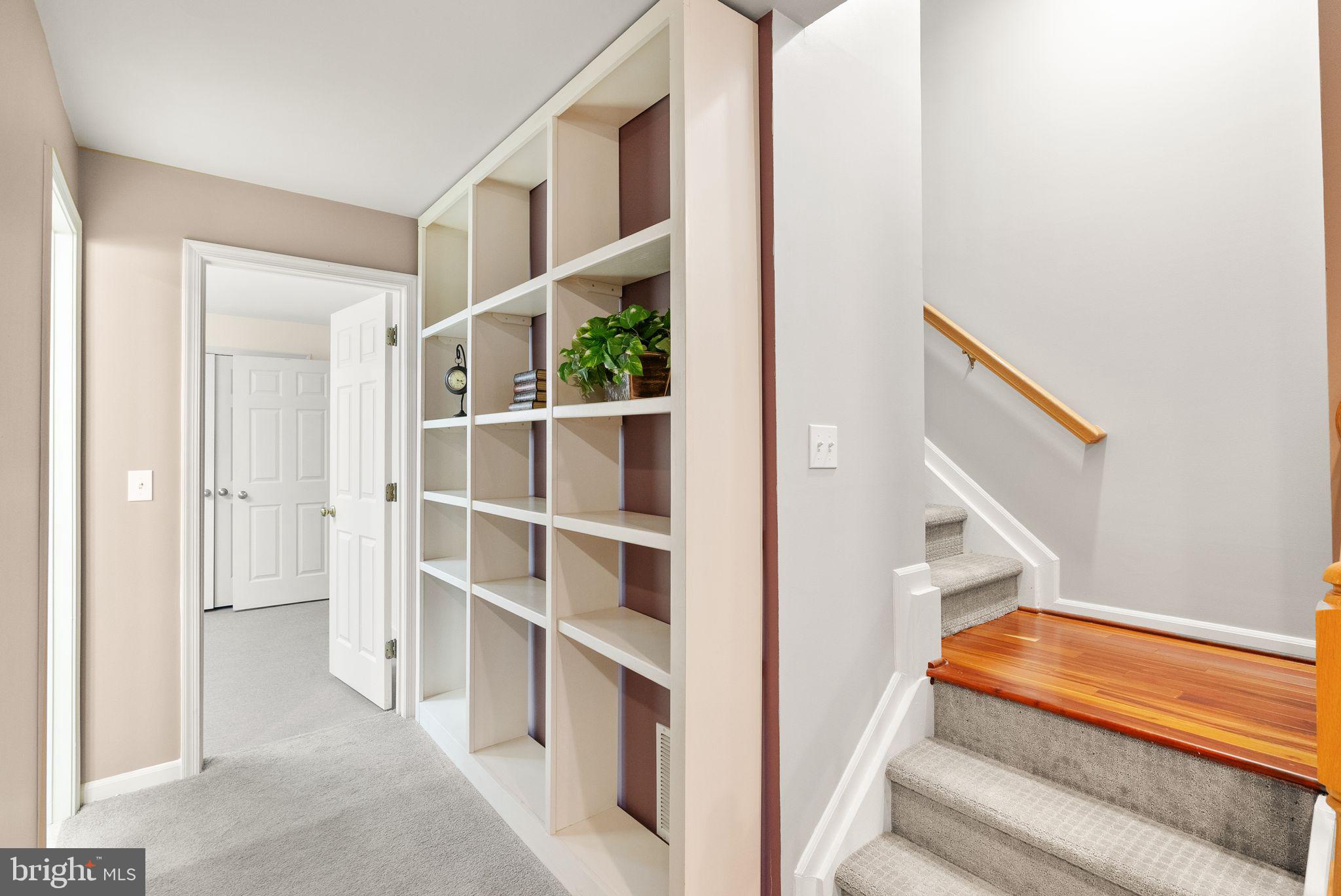 BELMONT FOREST - Residential