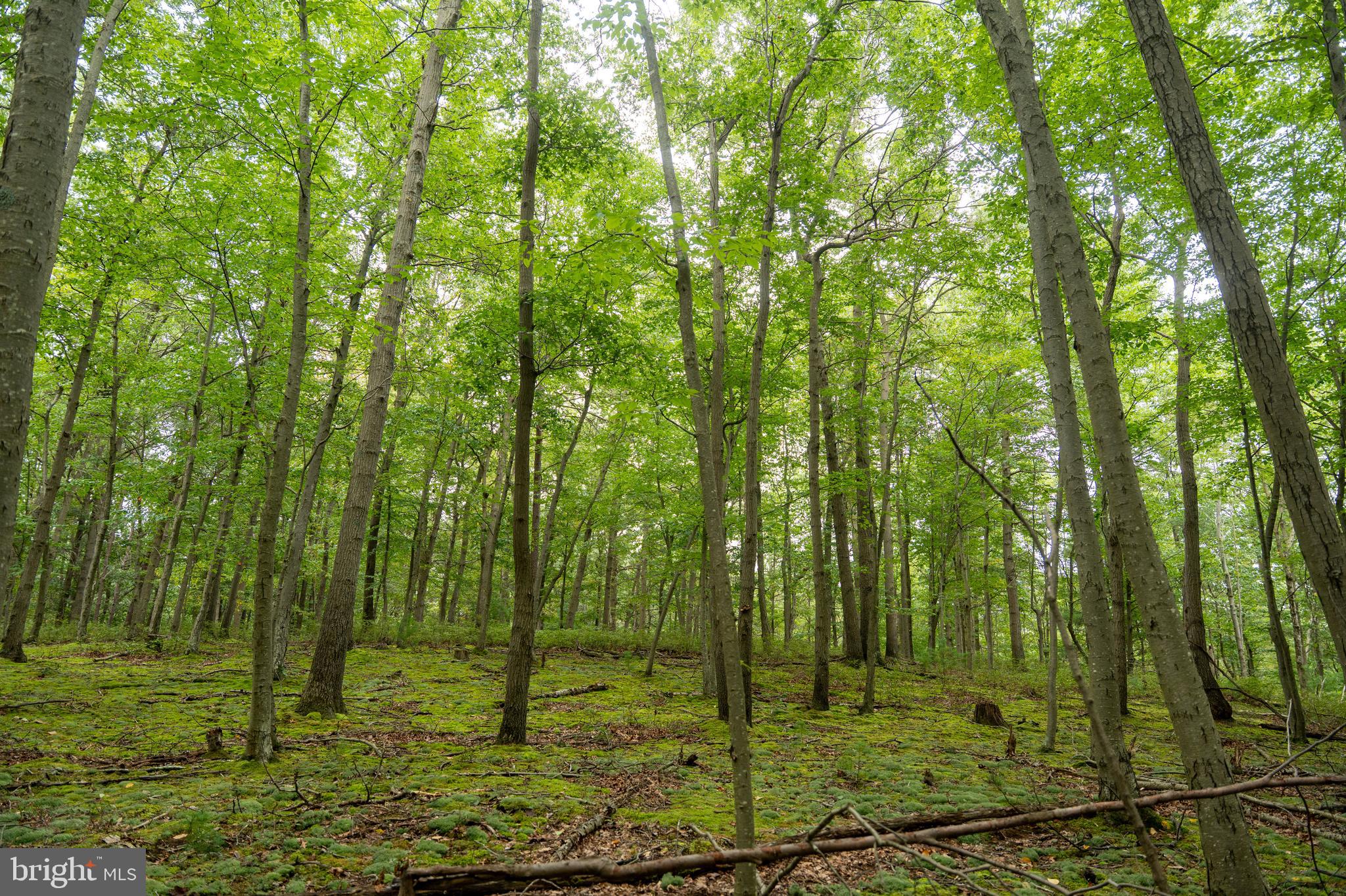 UPPER STRASBURG - Residential
