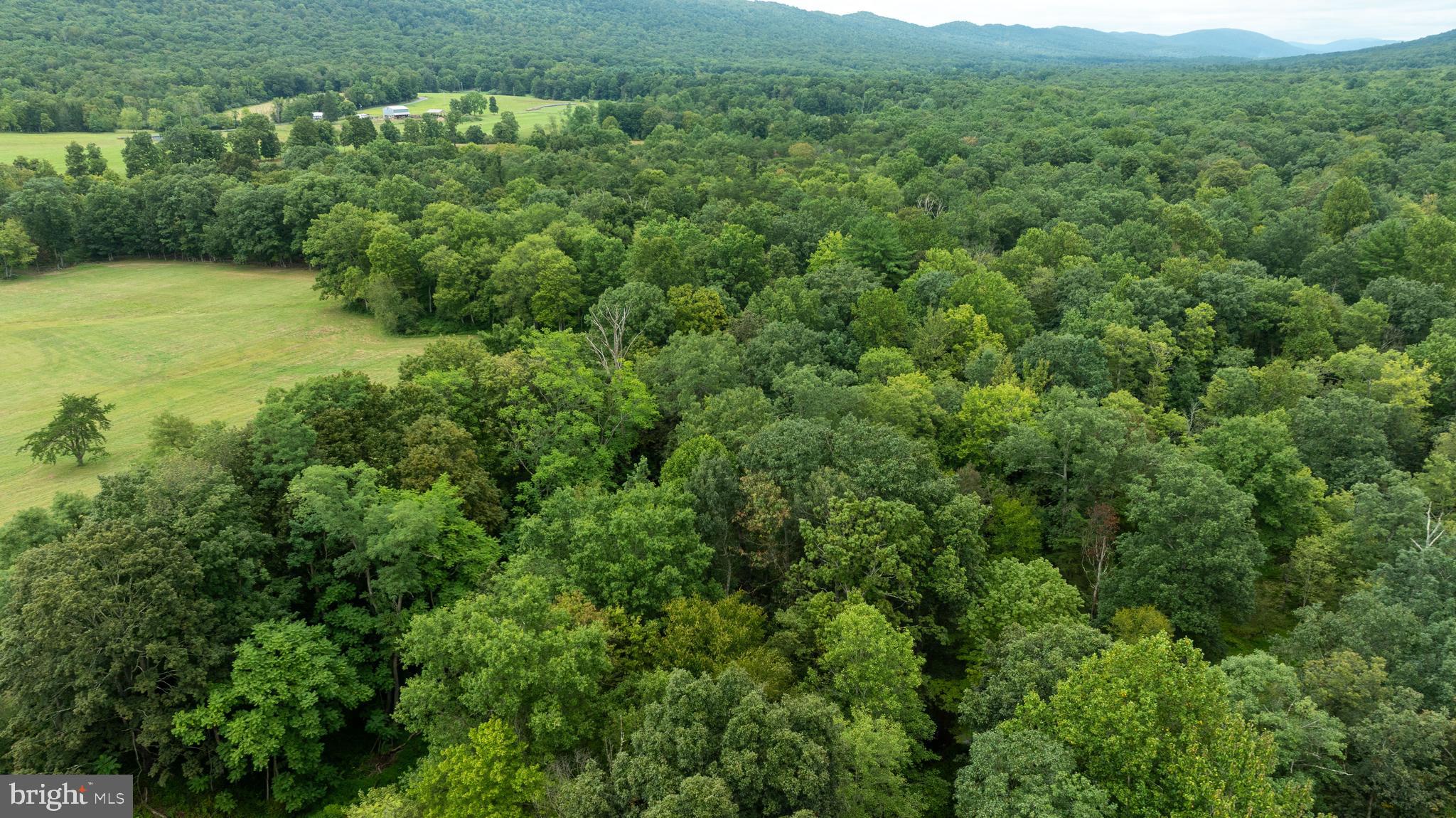 UPPER STRASBURG - Residential