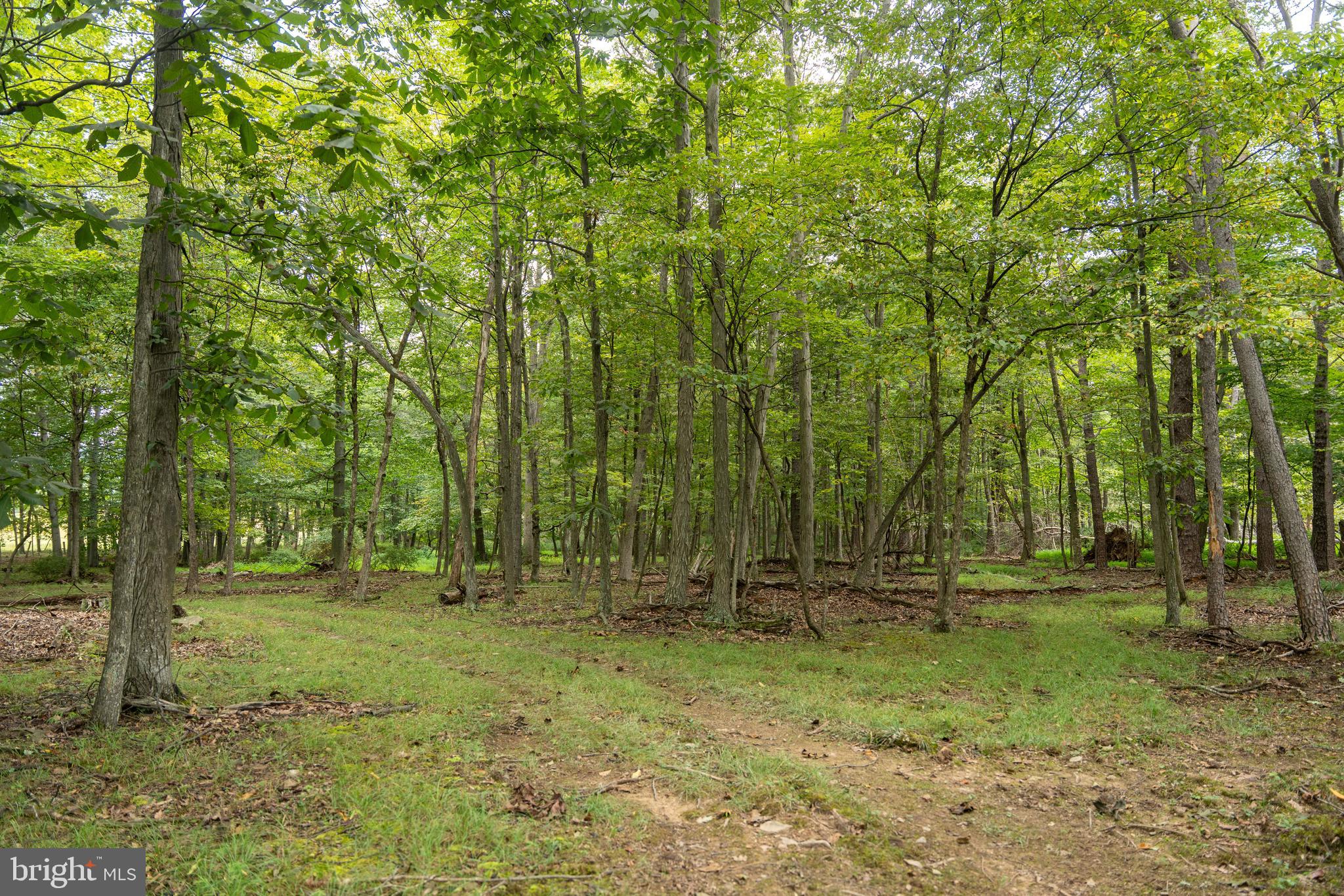 UPPER STRASBURG - Residential