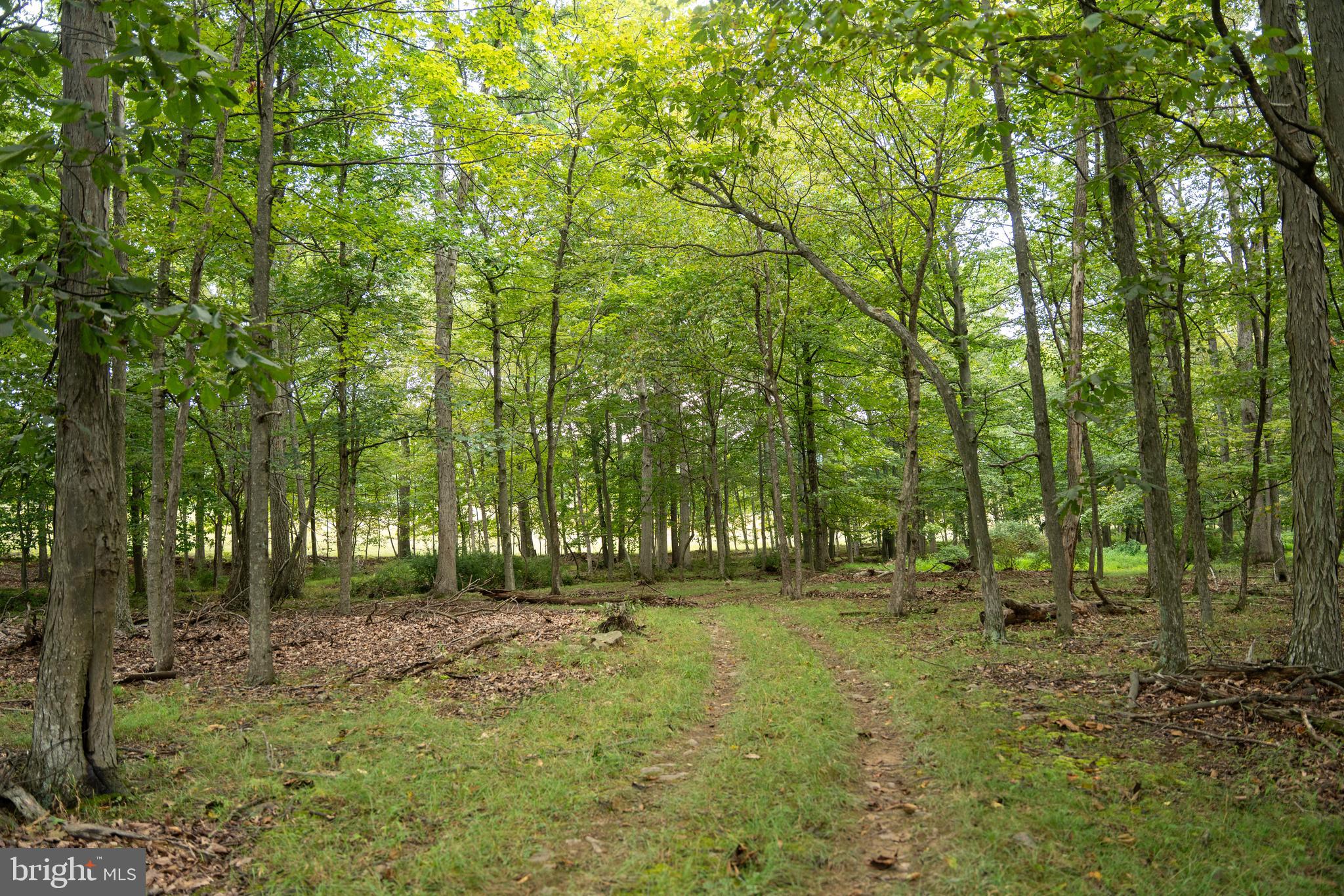 UPPER STRASBURG - Residential