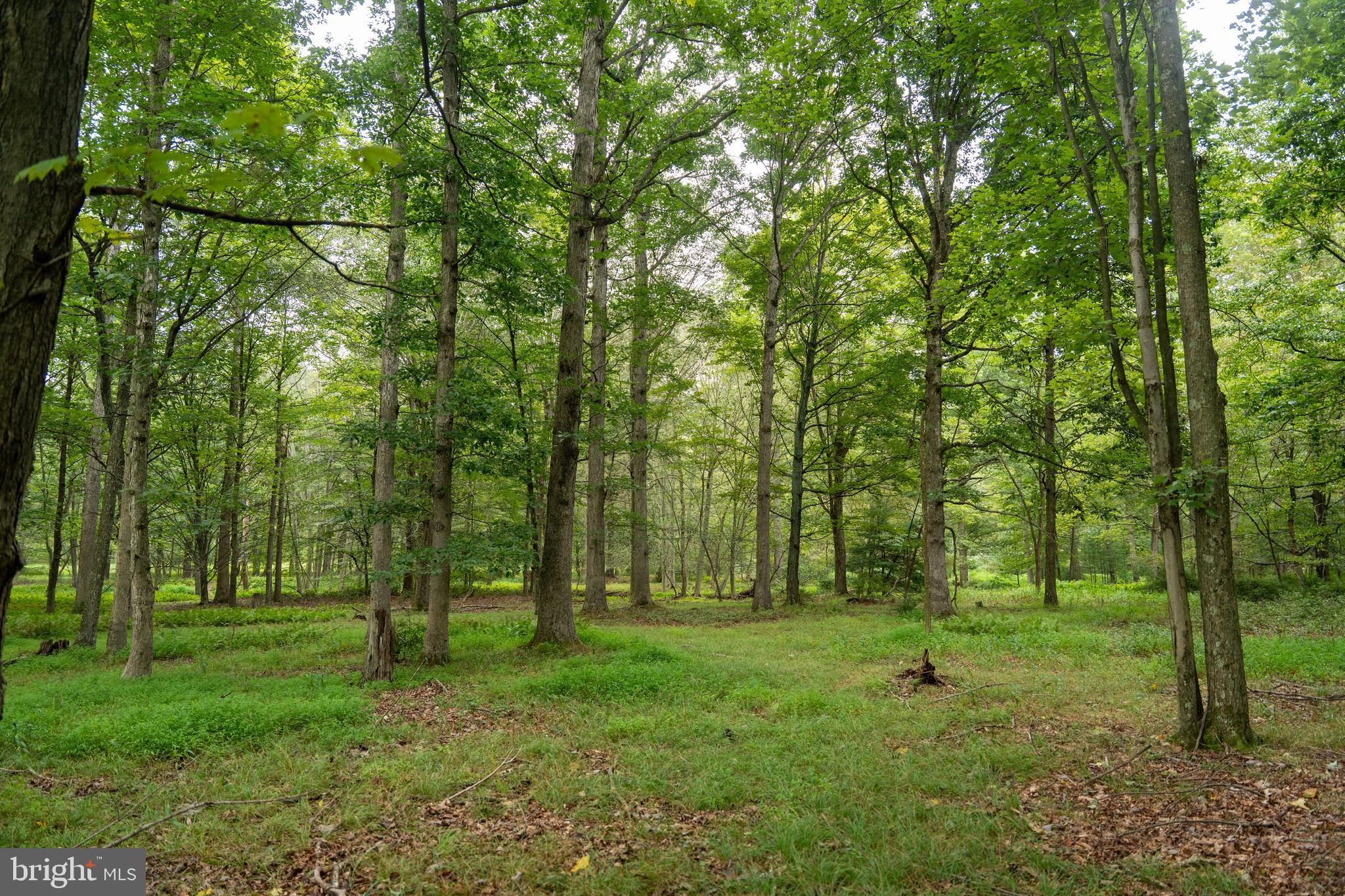 UPPER STRASBURG - Residential