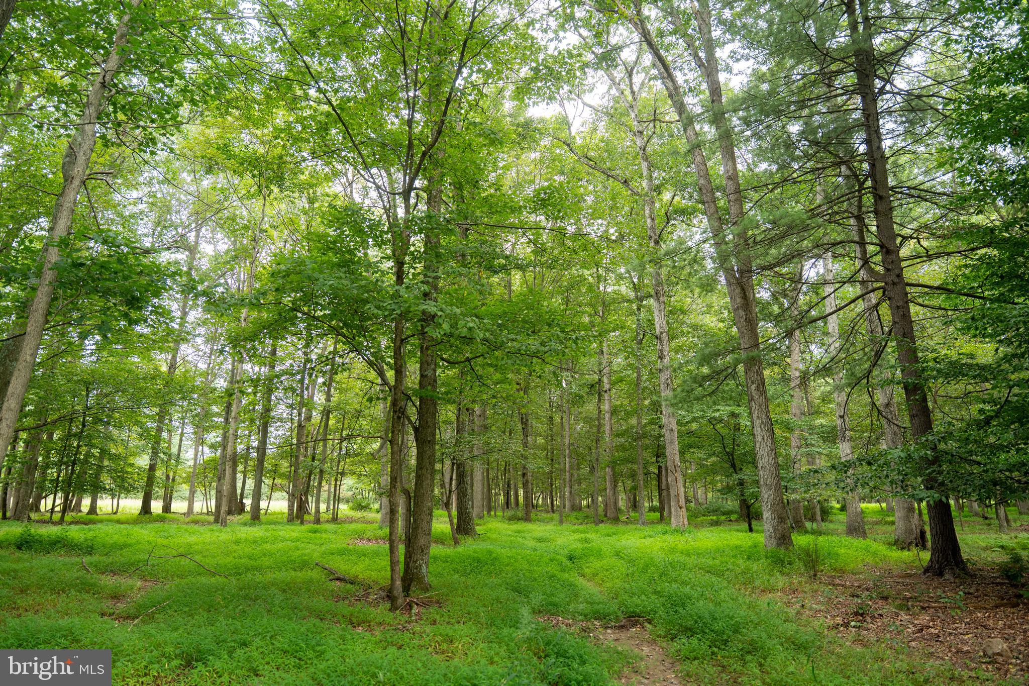 UPPER STRASBURG - Residential
