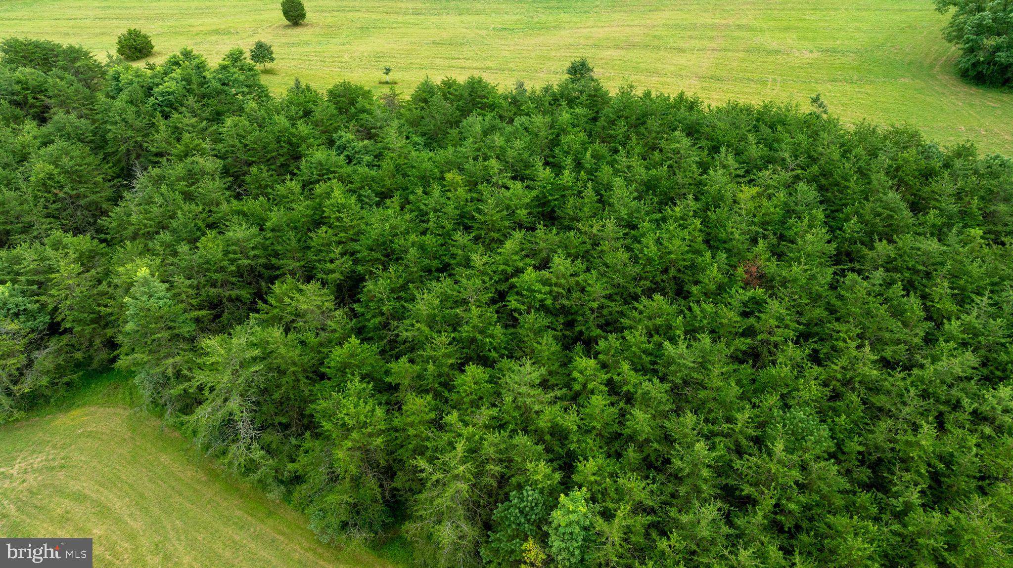UPPER STRASBURG - Residential