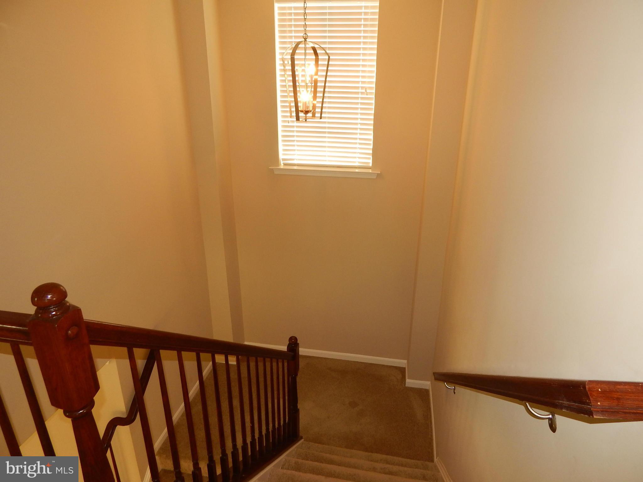 HASTINGS MARKETPLACE - Residential