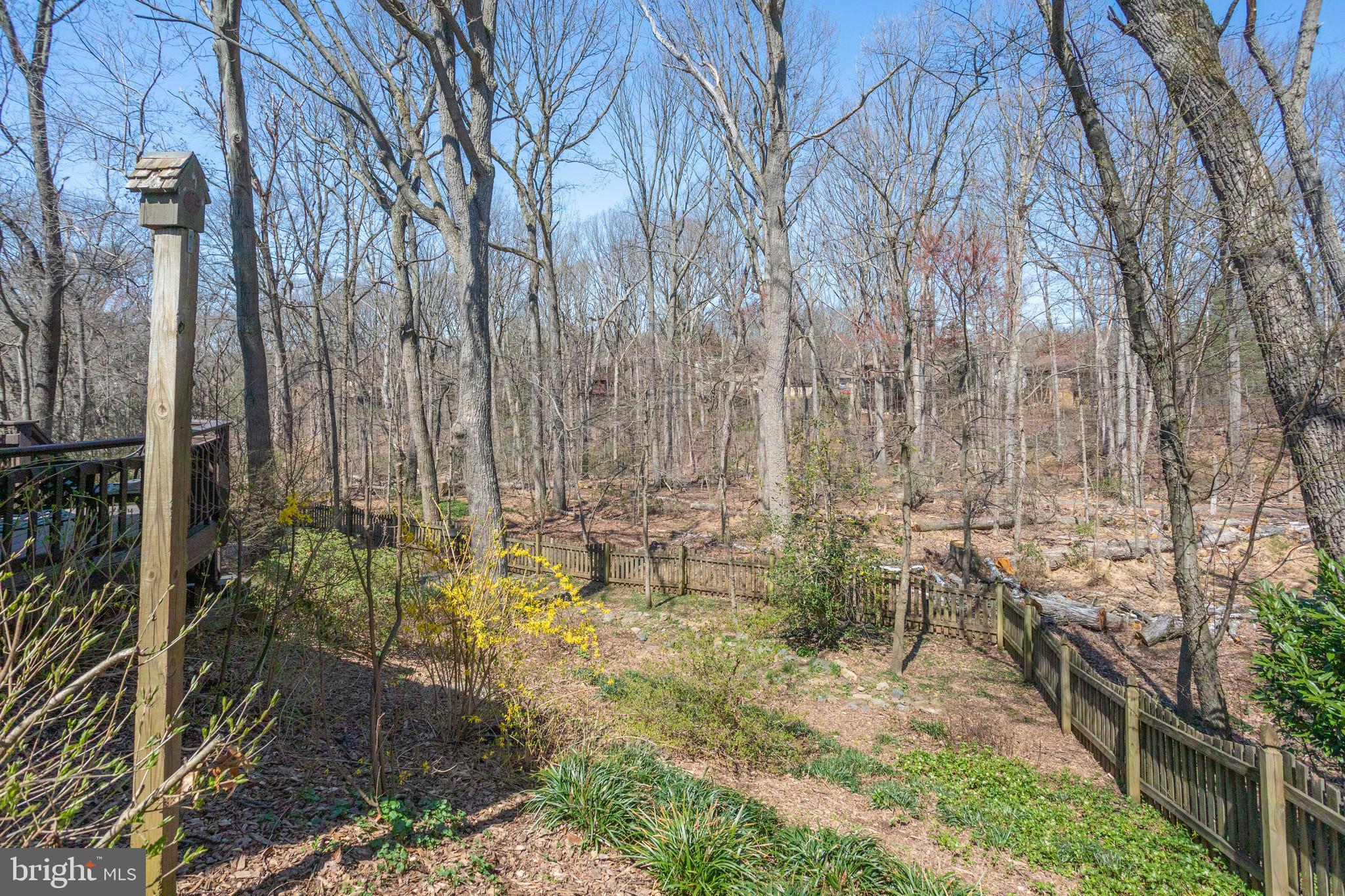 WOLF TRAP WOODS - Residential