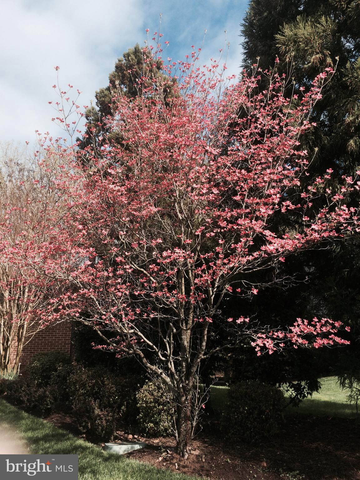 WOLF TRAP WOODS - Residential