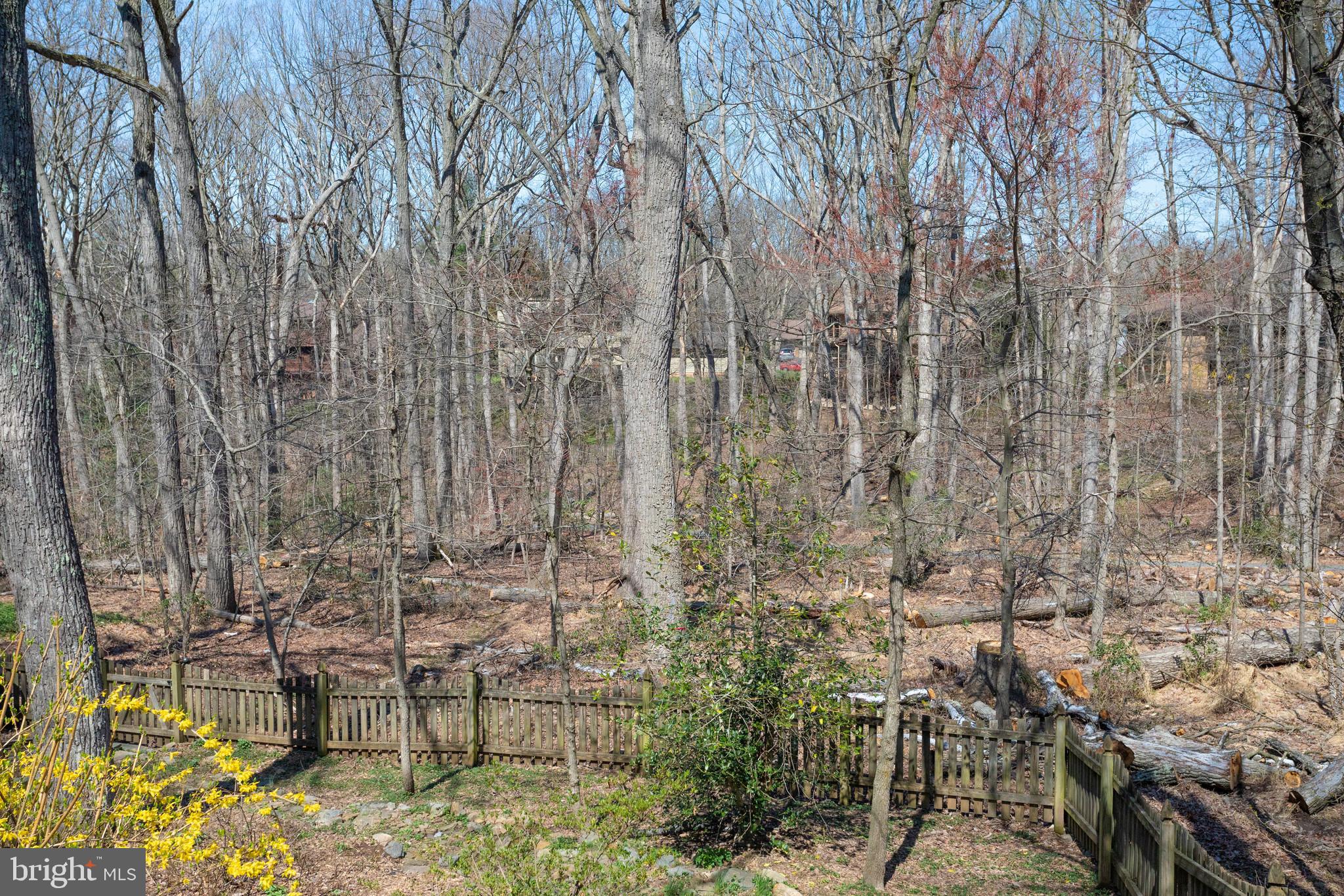 WOLF TRAP WOODS - Residential