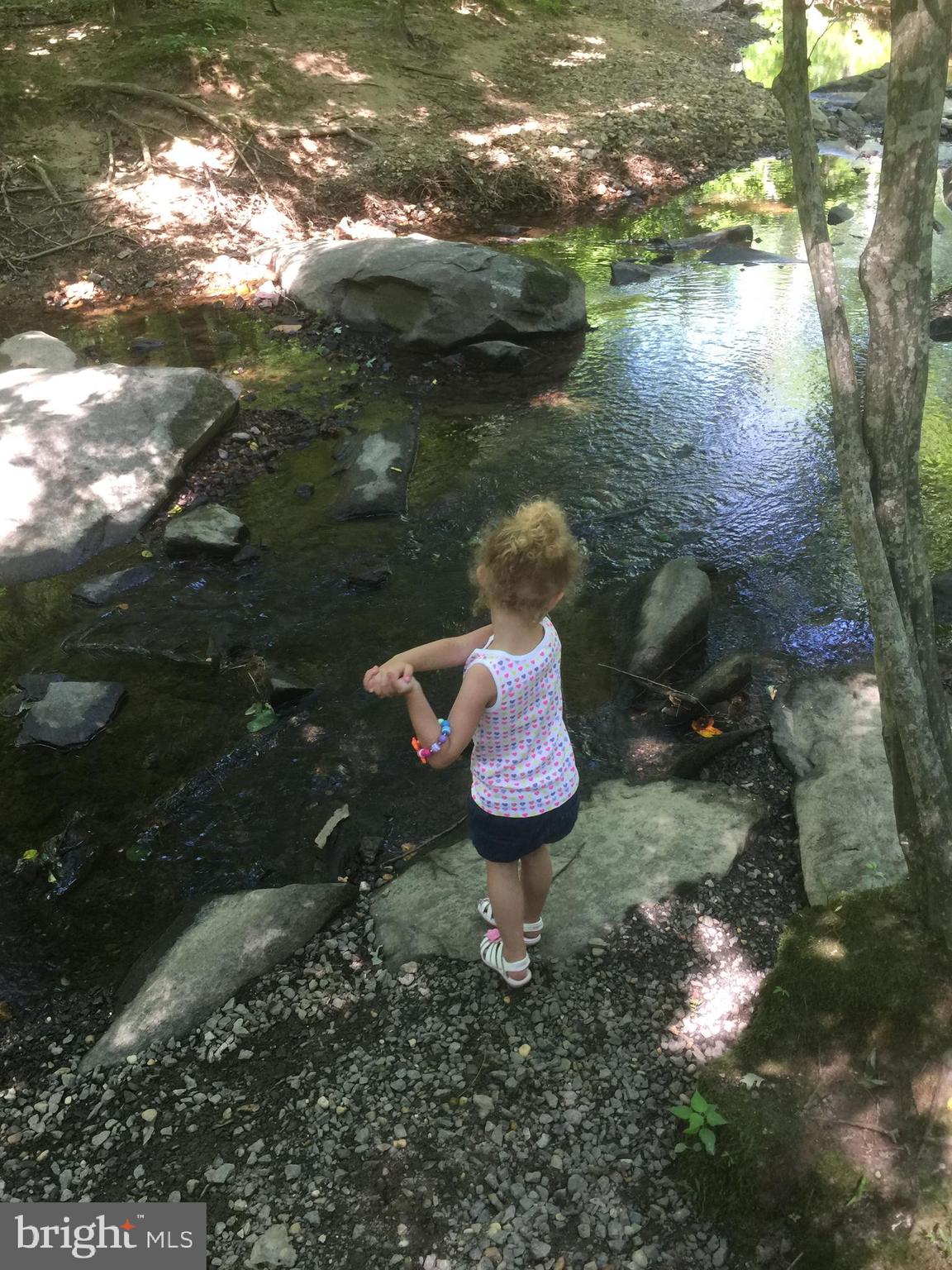 WOLF TRAP WOODS - Residential