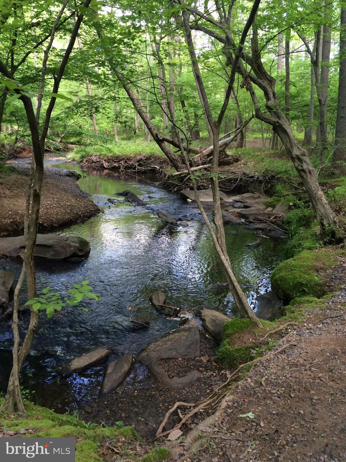 WOLF TRAP WOODS - Residential