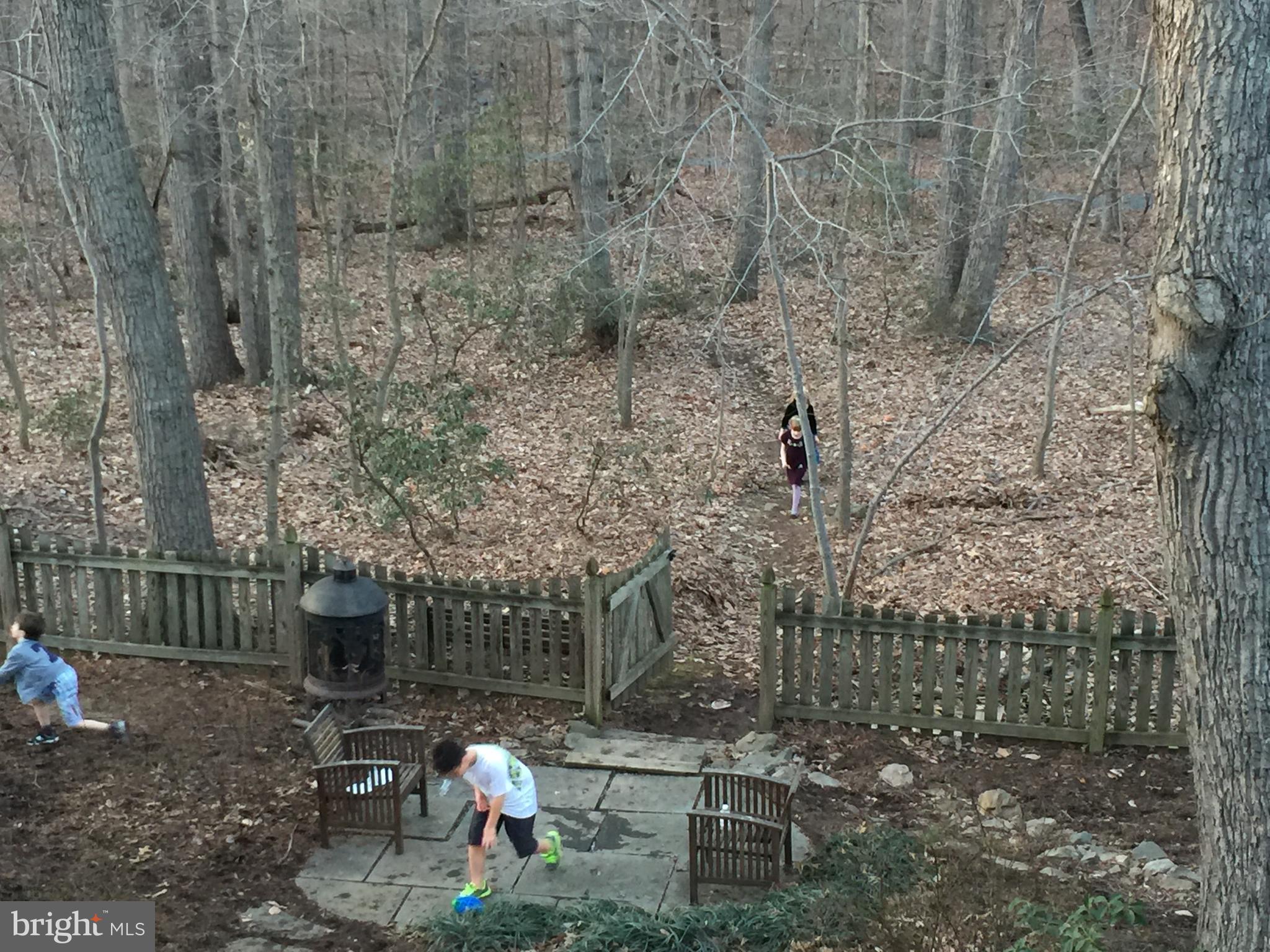 WOLF TRAP WOODS - Residential