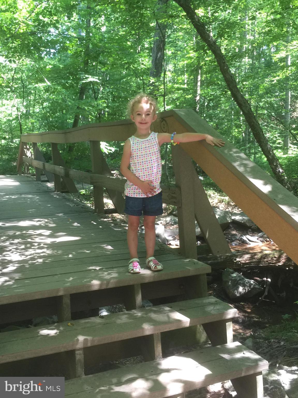 WOLF TRAP WOODS - Residential