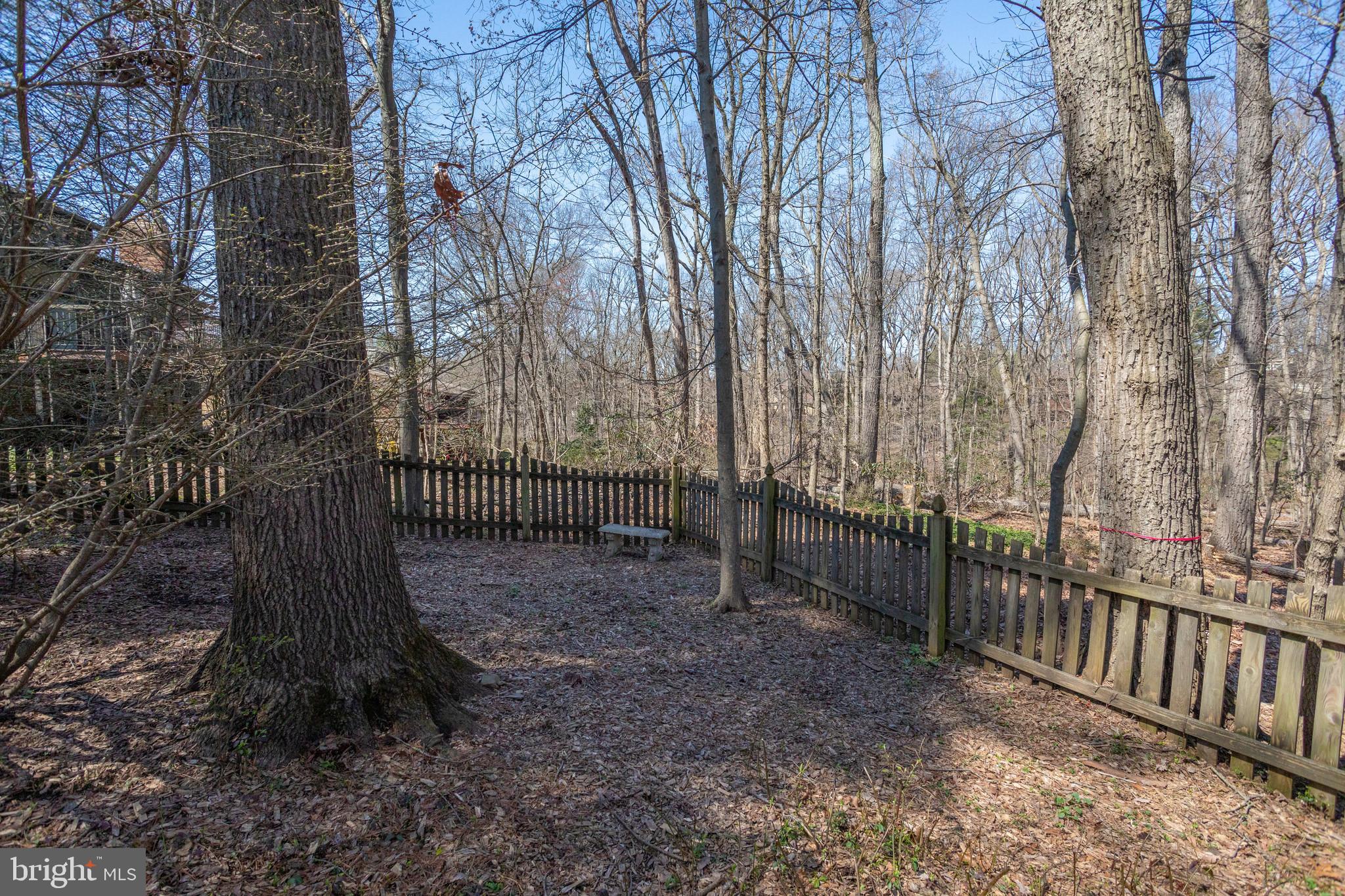 WOLF TRAP WOODS - Residential