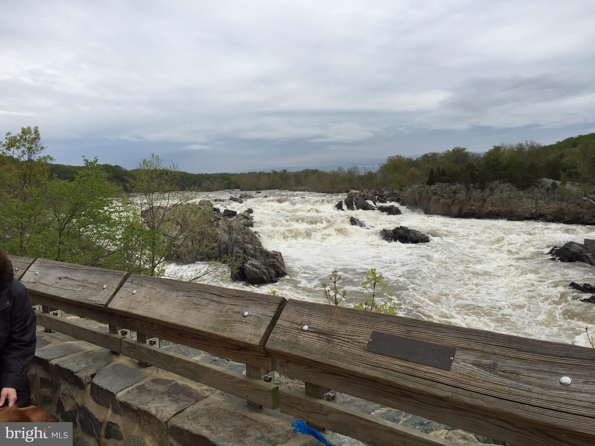 WOLF TRAP WOODS - Residential