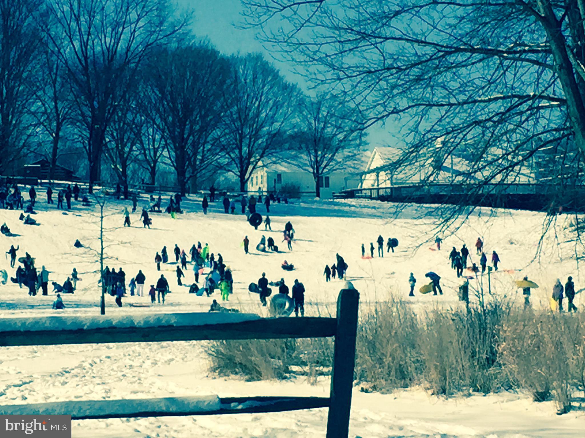 WOLF TRAP WOODS - Residential