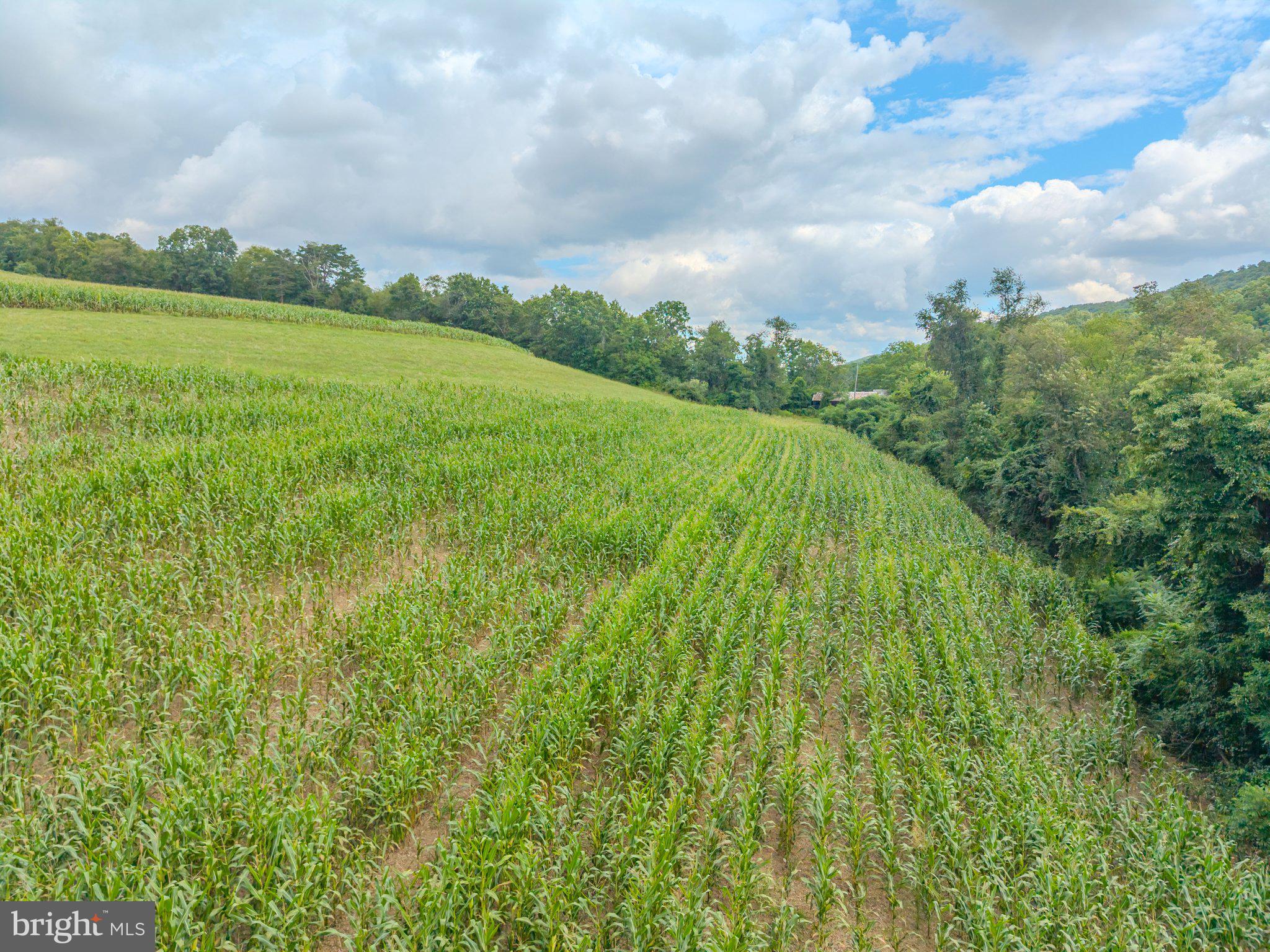 00 CARLS HILL ROAD PARCEL 7