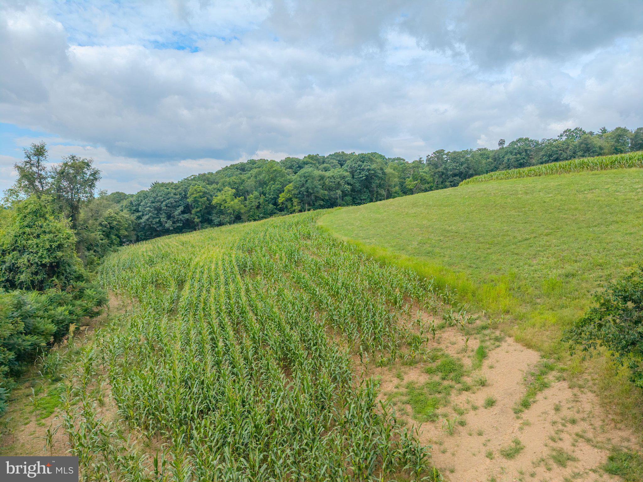 00 CARLS HILL ROAD PARCEL 7