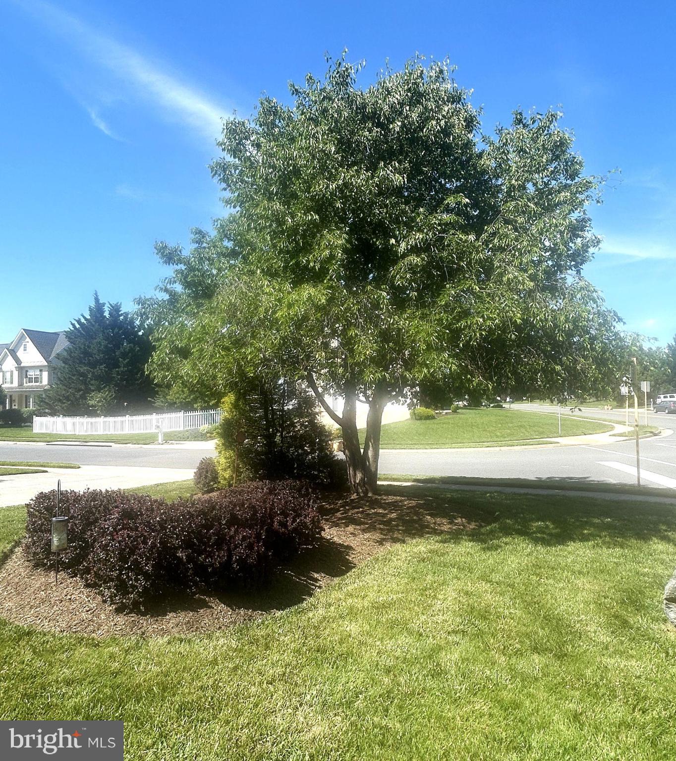 112 TYSON DRIVE