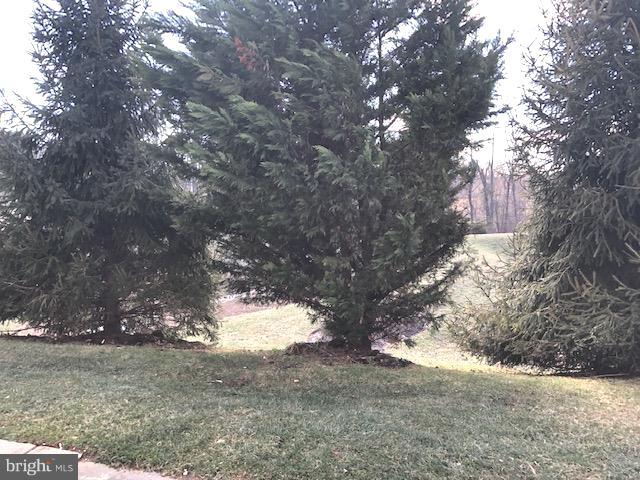 CLARKSBURG VILLAGE - Residential