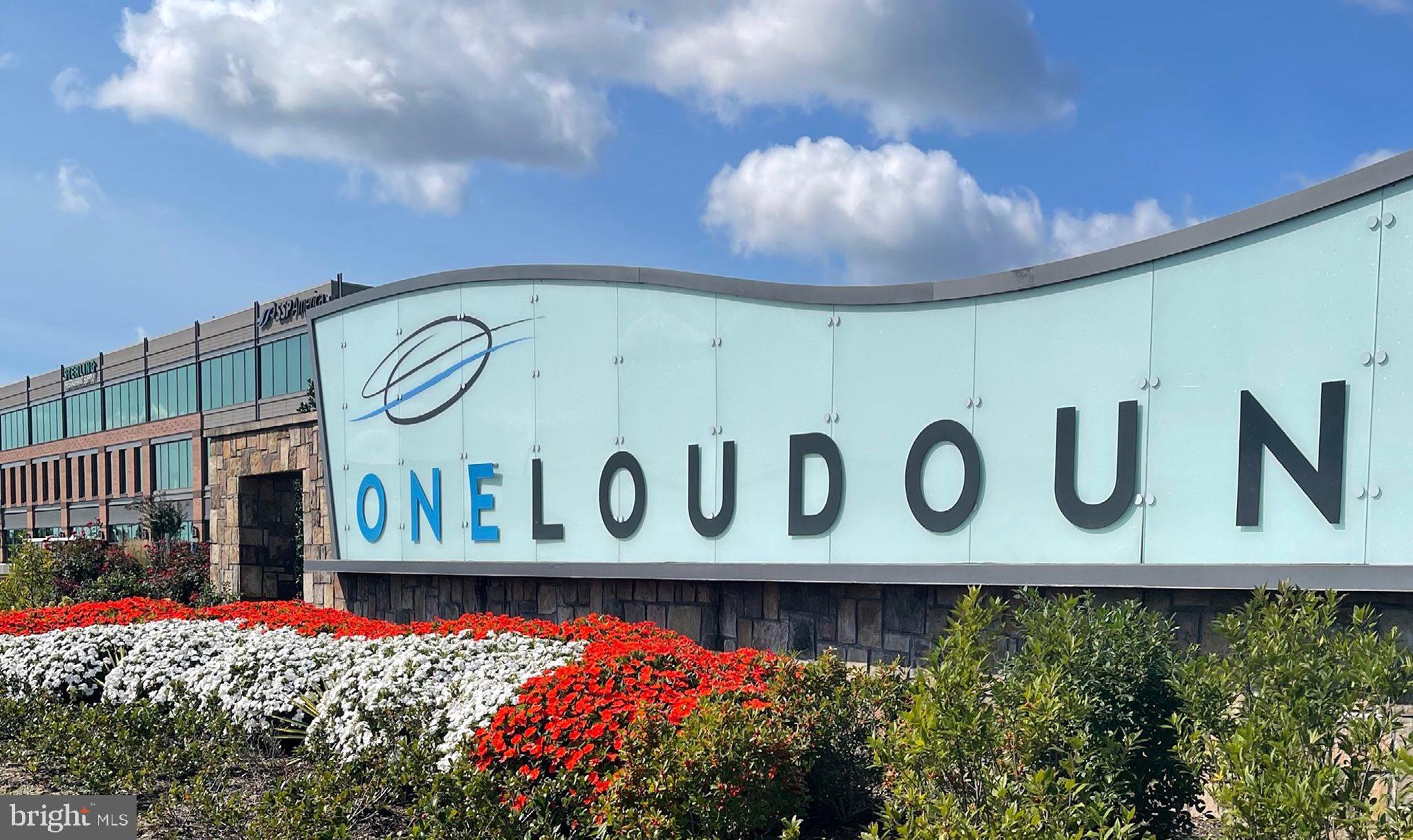 POTOMAC GREEN - Residential