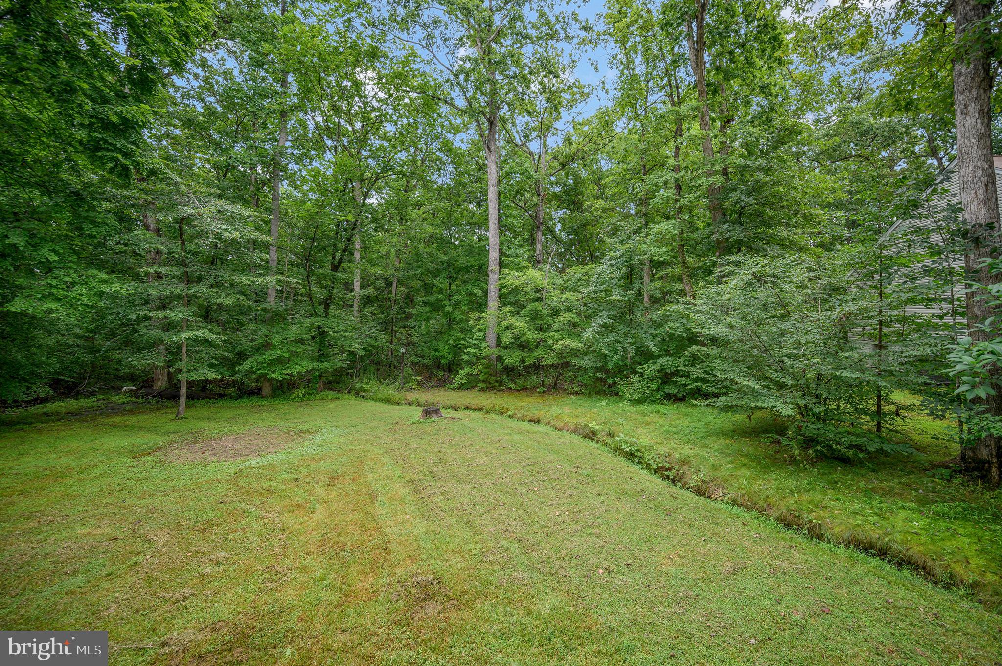 LAKE OF THE WOODS - Residential