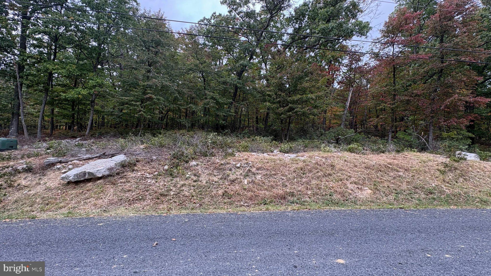 Lot 263 INCA TRAIL
