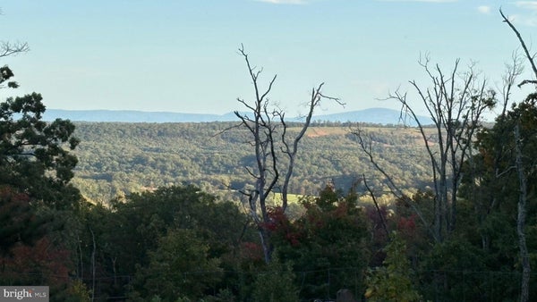 LOT 263 INCA TRAIL, WINCHESTER, VA 22602 - Image 61a54e593df0ceecbb60d2fbc9dc8b55/4052925041